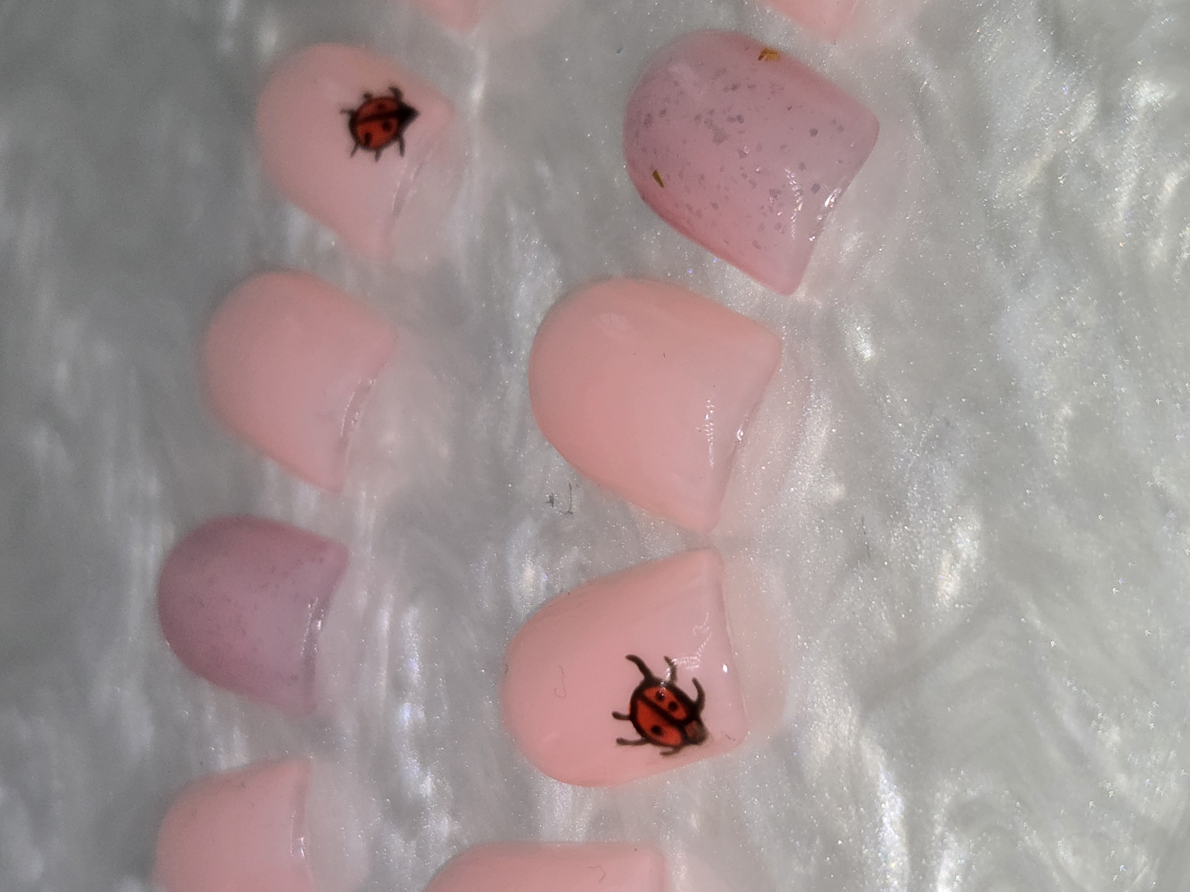 Coccinelle solo