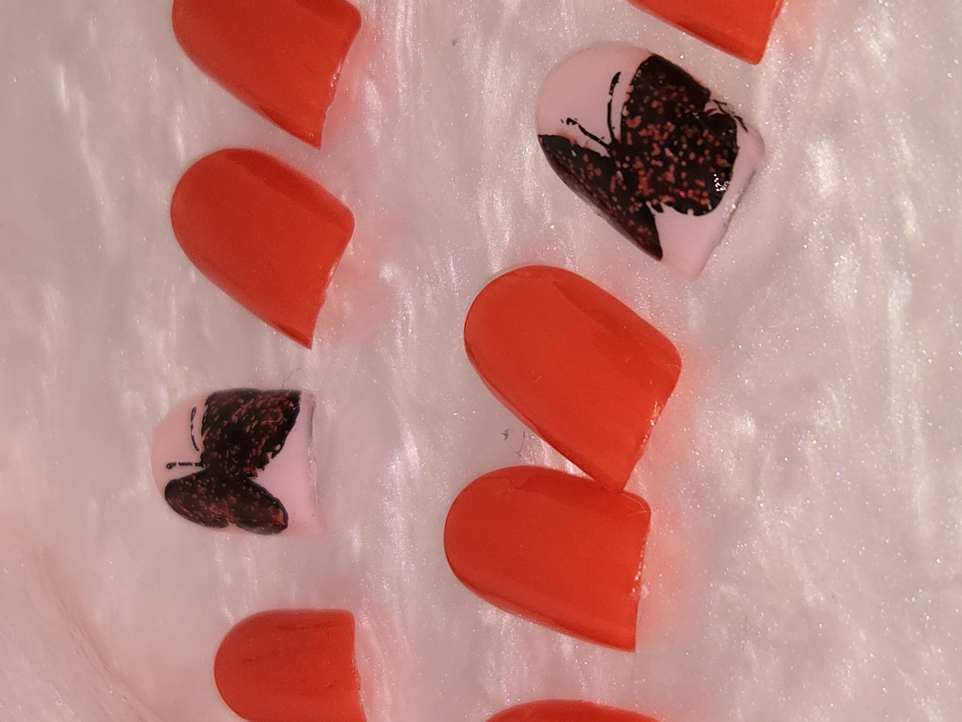 Papillon rouge