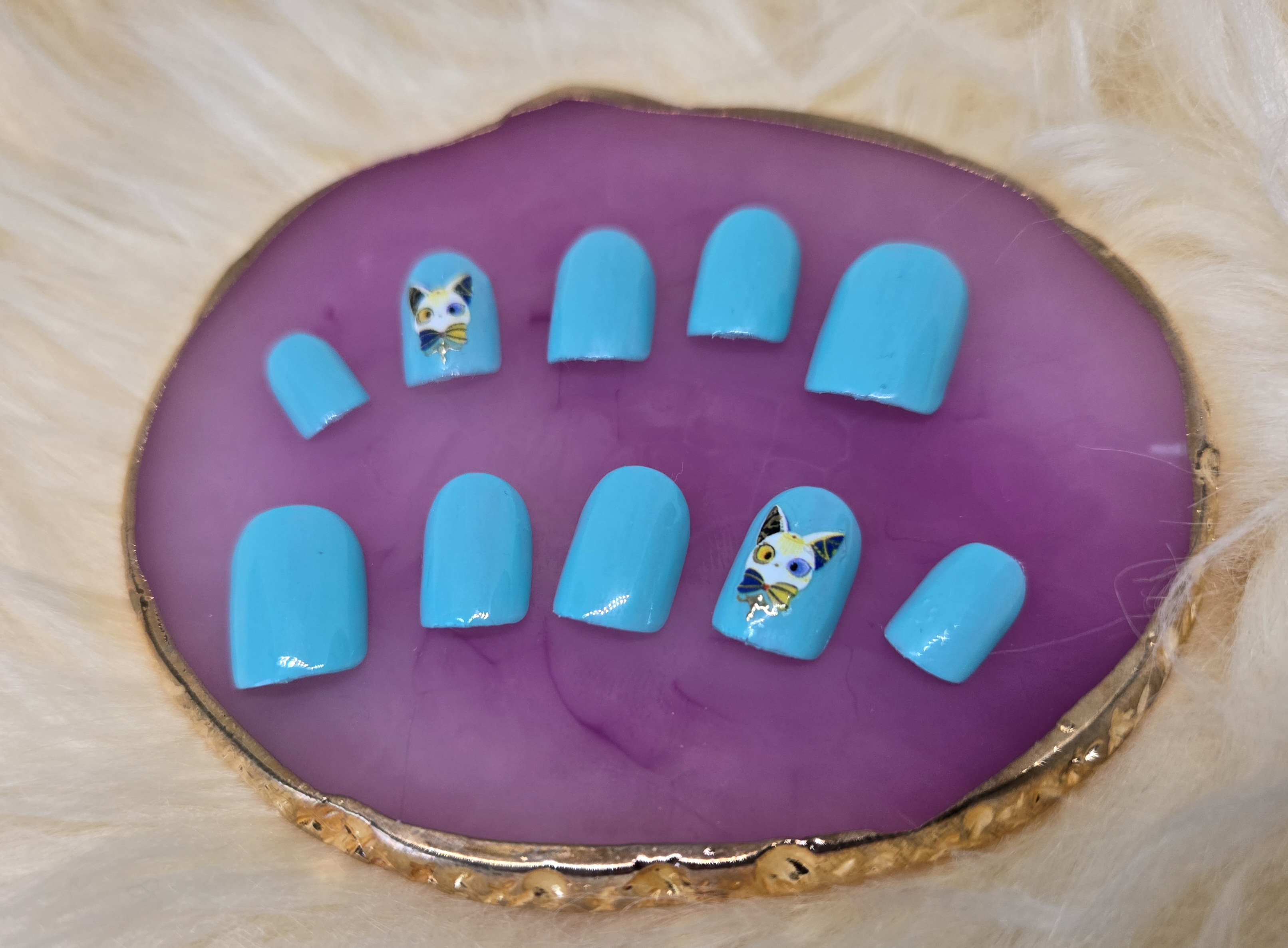 Blue cat