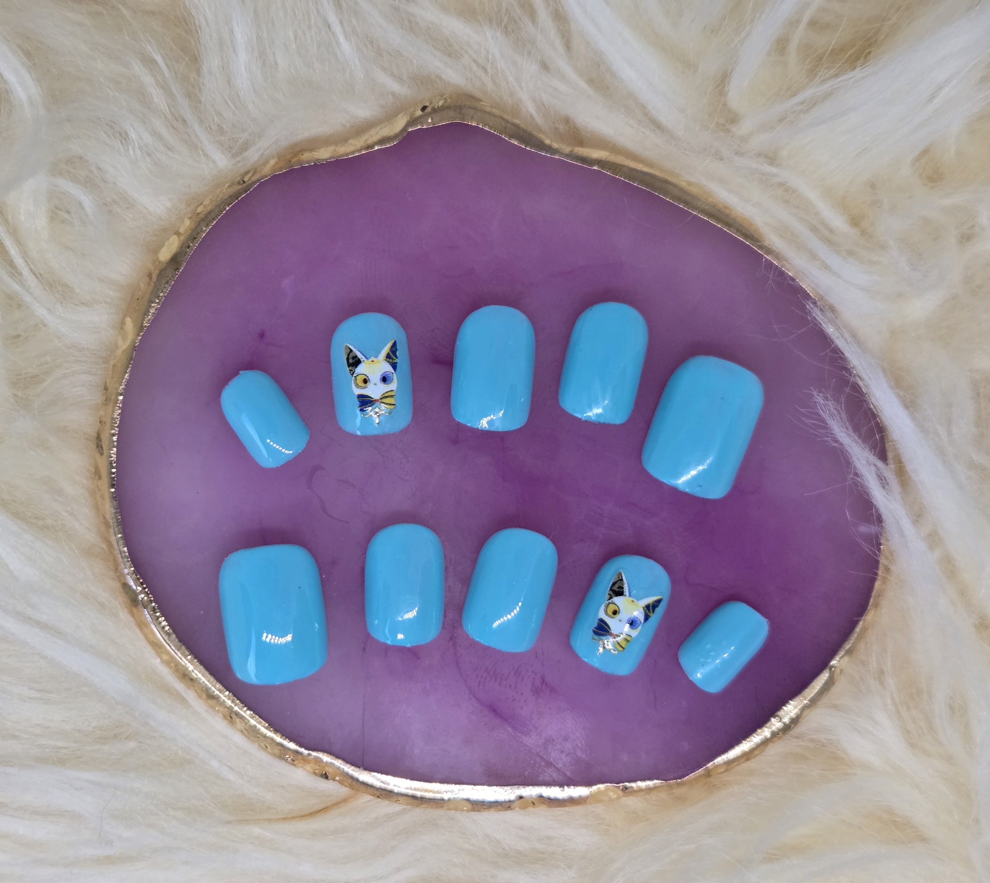 Blue cat