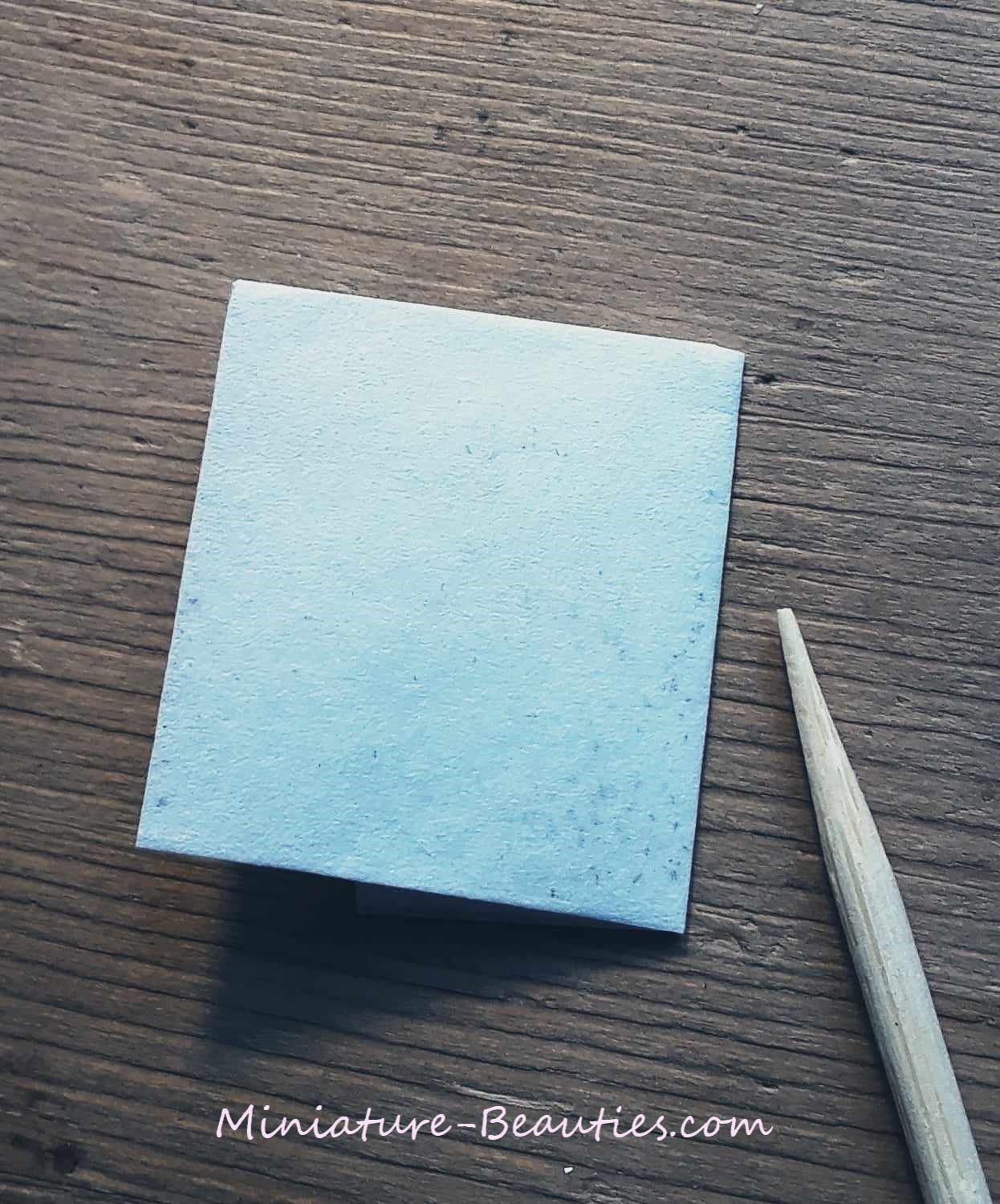 micro sinningia White Sprite seeds