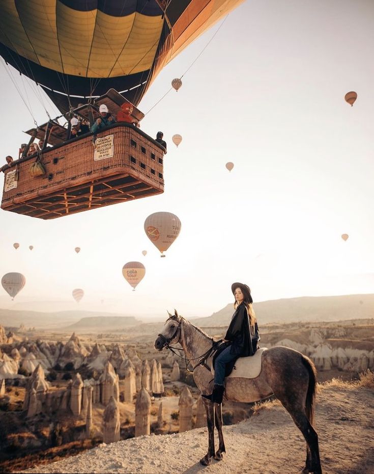 Running Horses and Photoshoot 