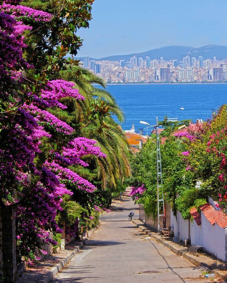 Prince's Island Tour