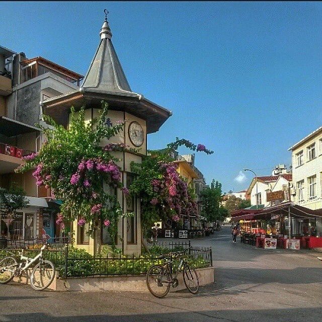 Prince's Island Tour