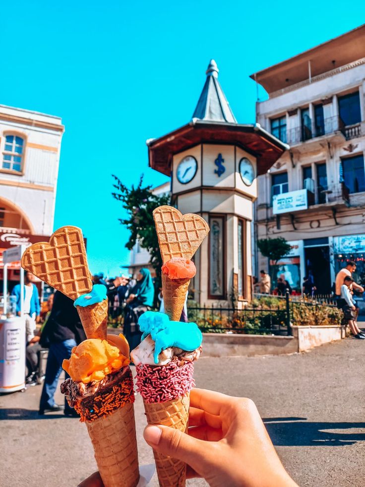 Prince's Island Tour