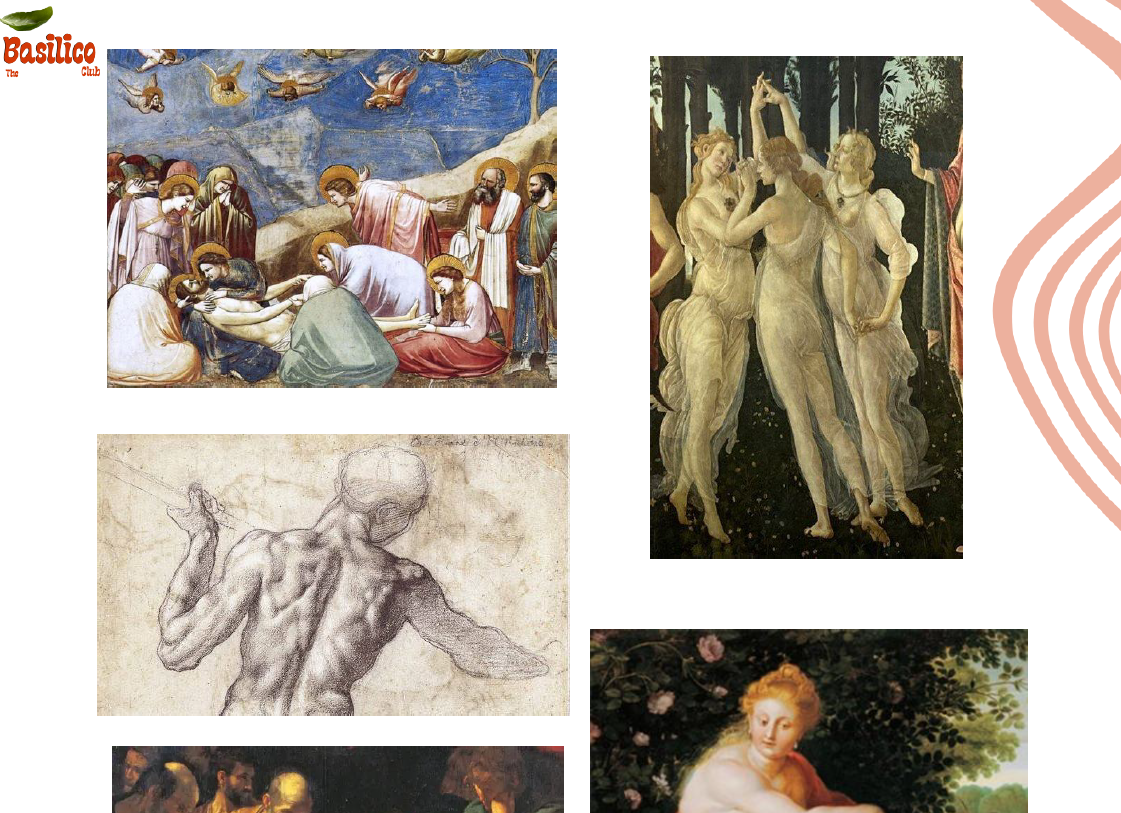 Il Saggio. Lavoro sul testo "Corpo, Umano"