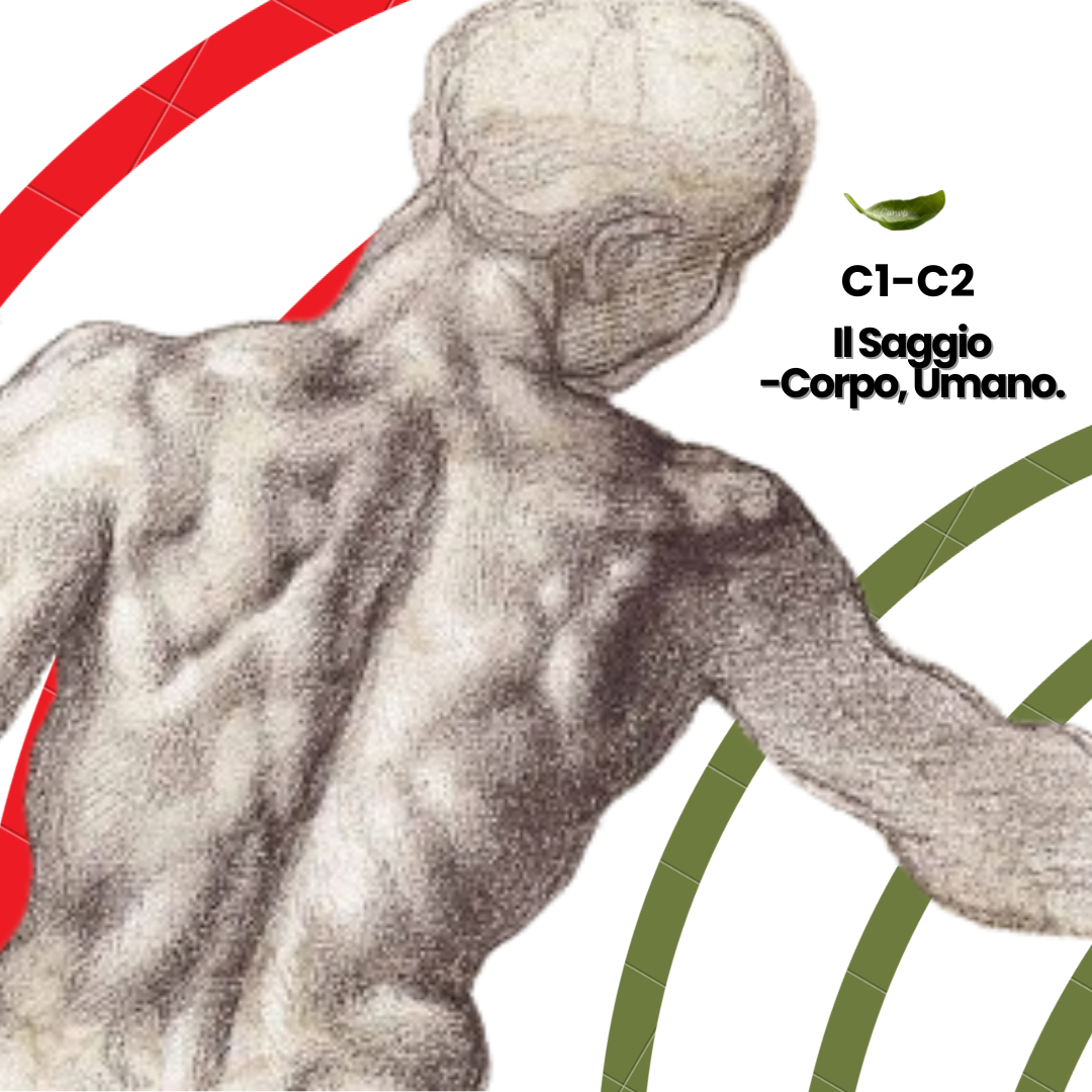 Il Saggio. Lavoro sul testo "Corpo, Umano"