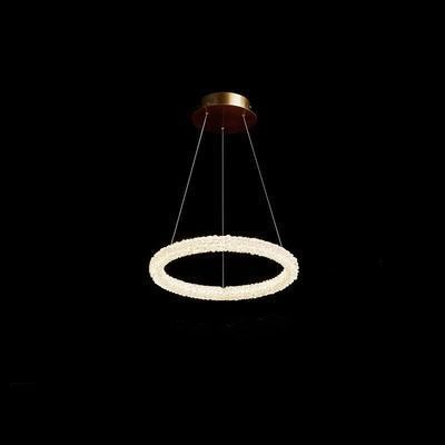Modern LED Pendant Light