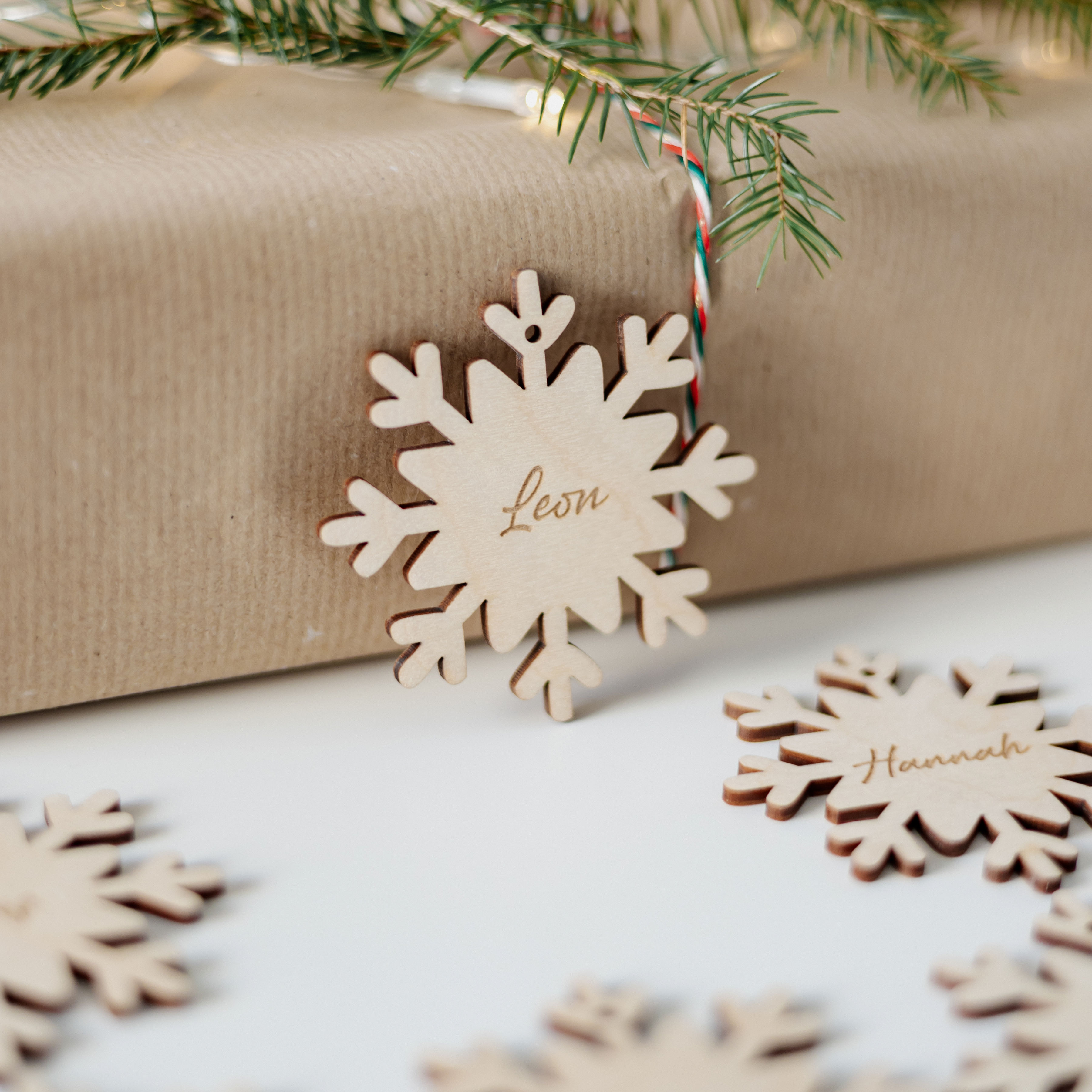 Vardo kortelė Snaigės