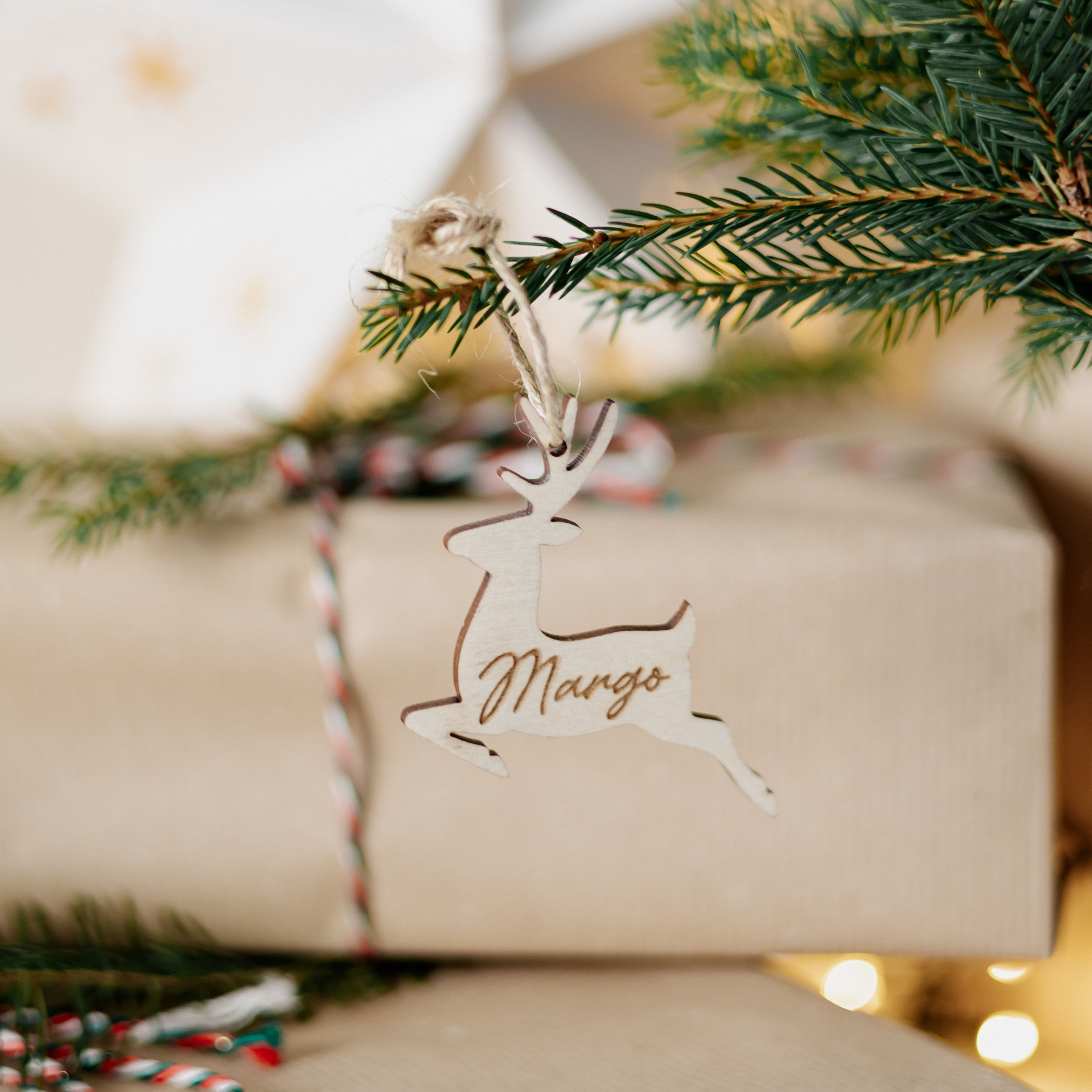 Vardo kortelė Elnias