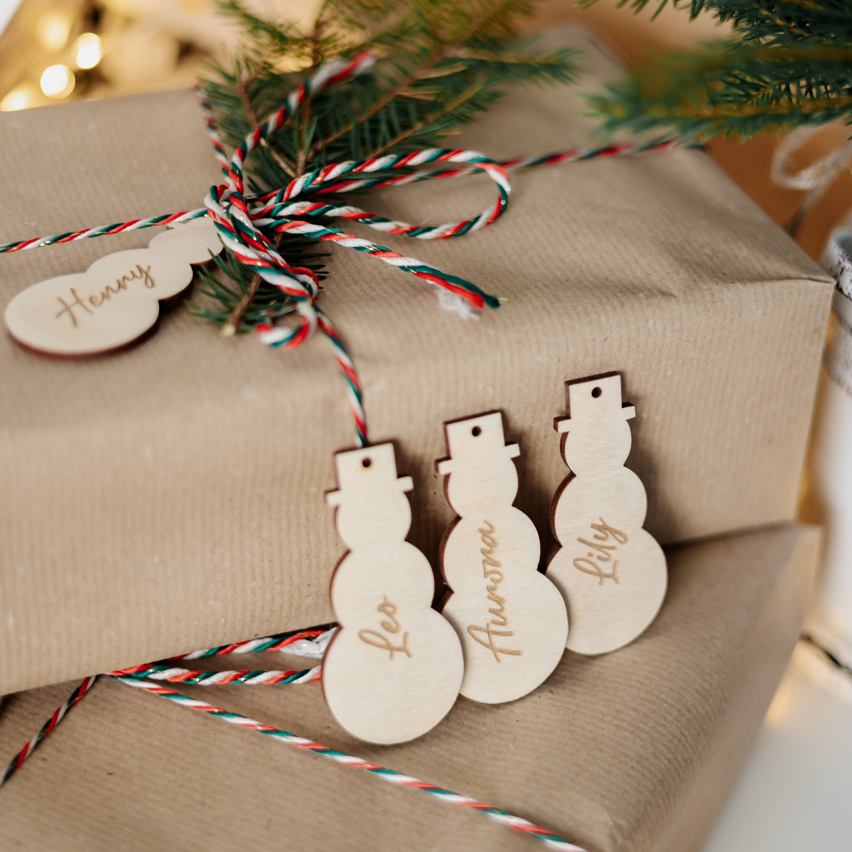 Vardo kortelė Besmegenis