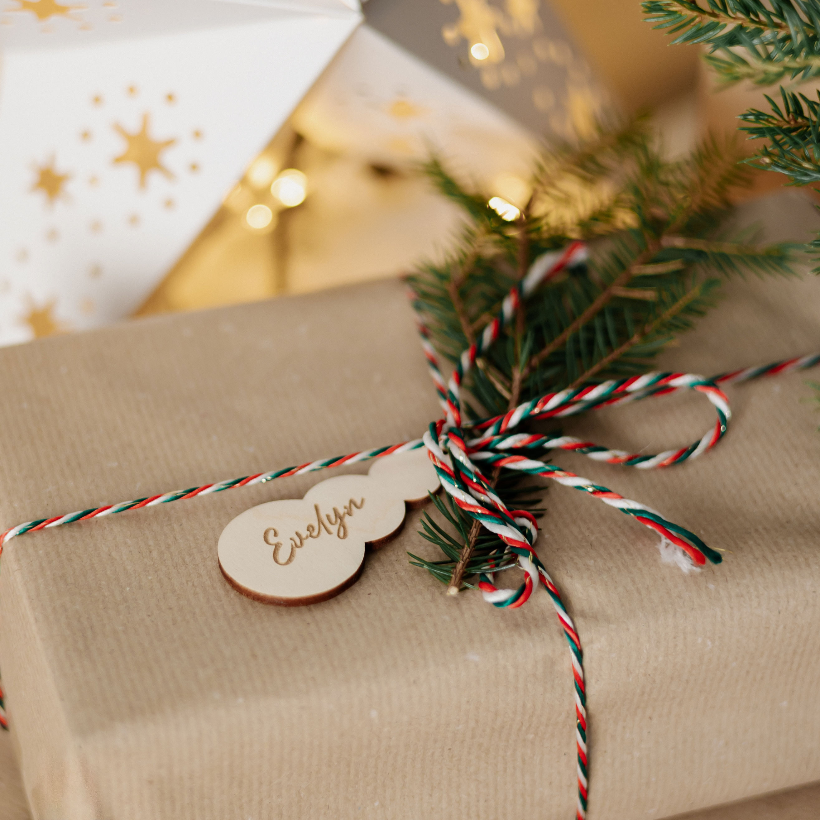 Vardo kortelė Besmegenis