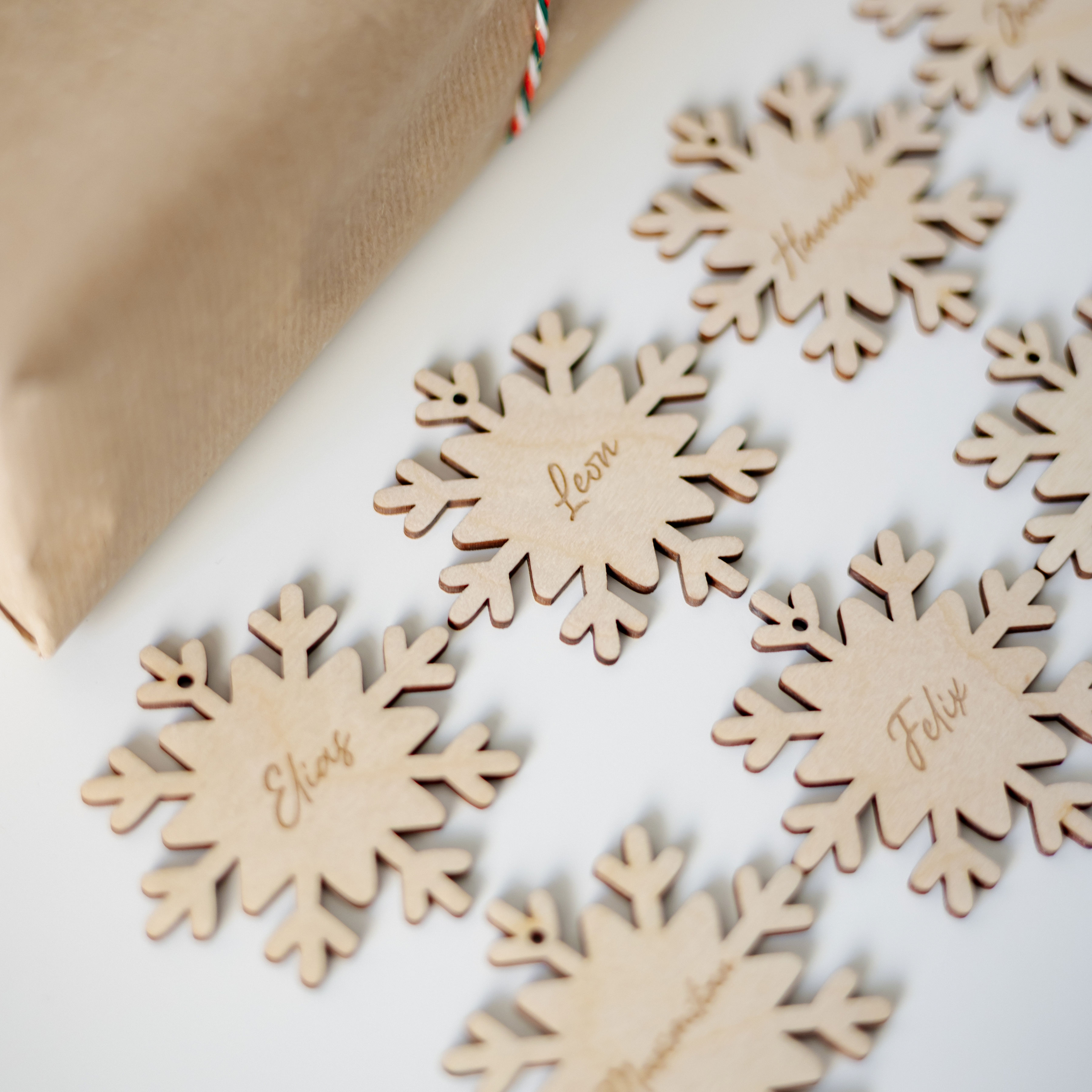 Vardo kortelė Snaigės