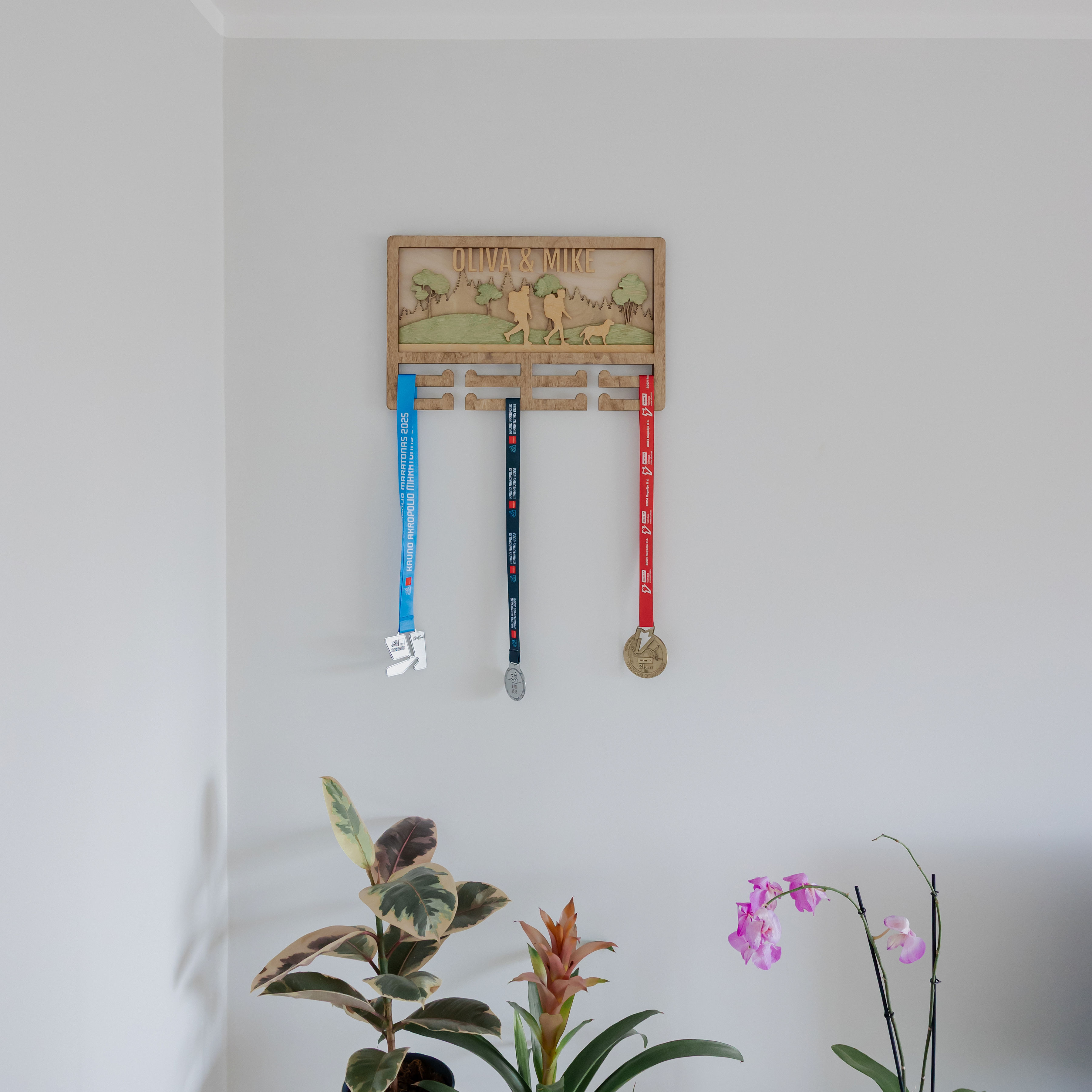 Medalių kabykla Žygiavimas (Miškas)