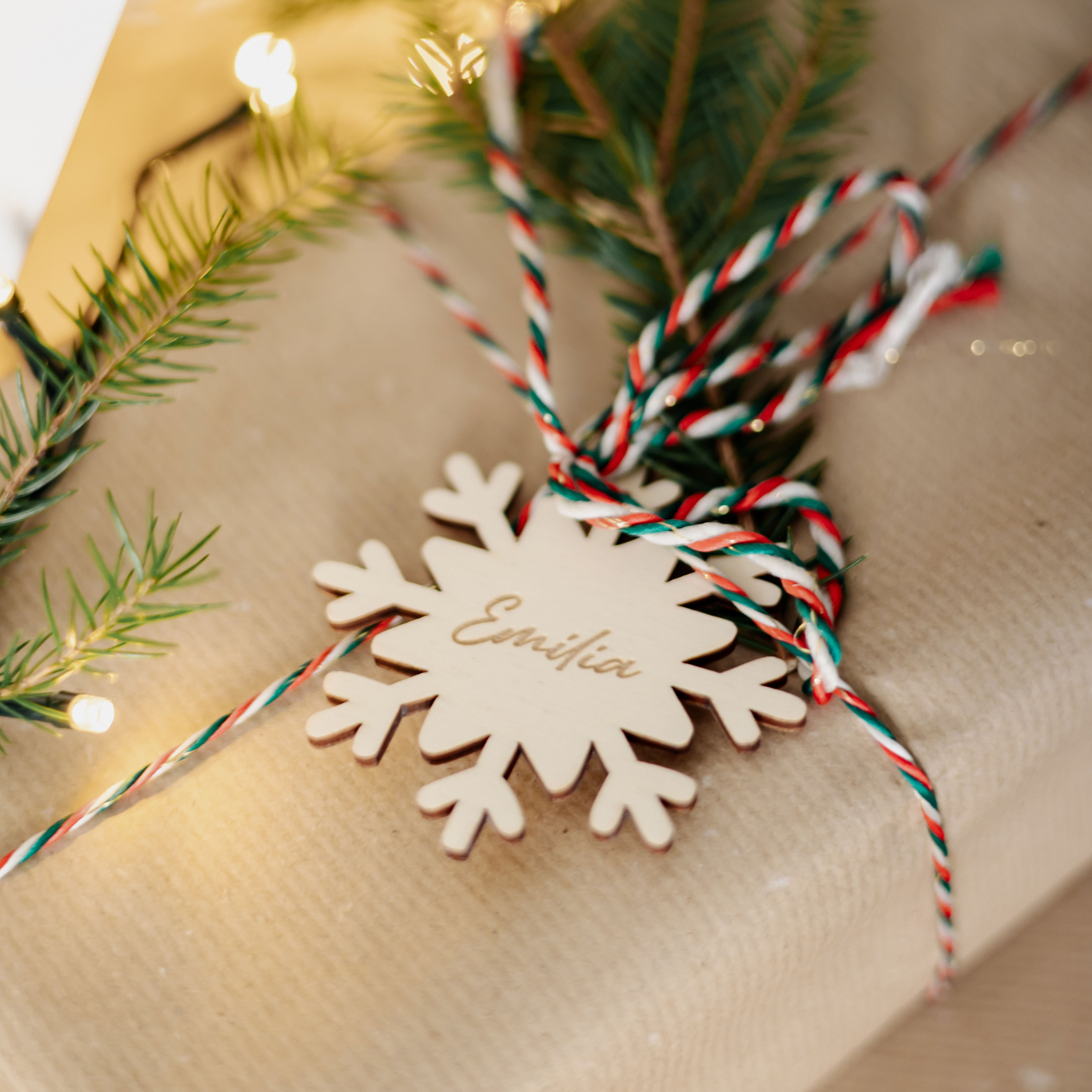 Vardo kortelė Snaigės