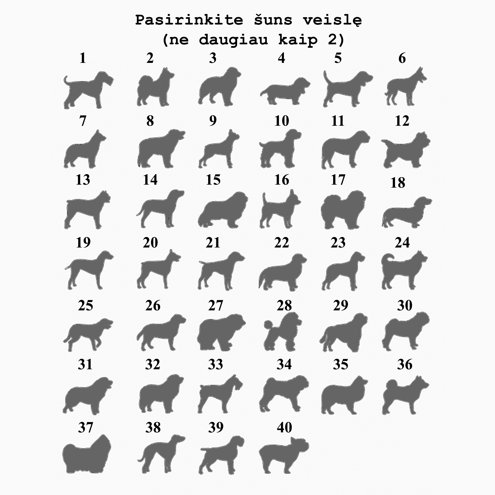 Medalių kabykla Žygiavimas (Kalnai)