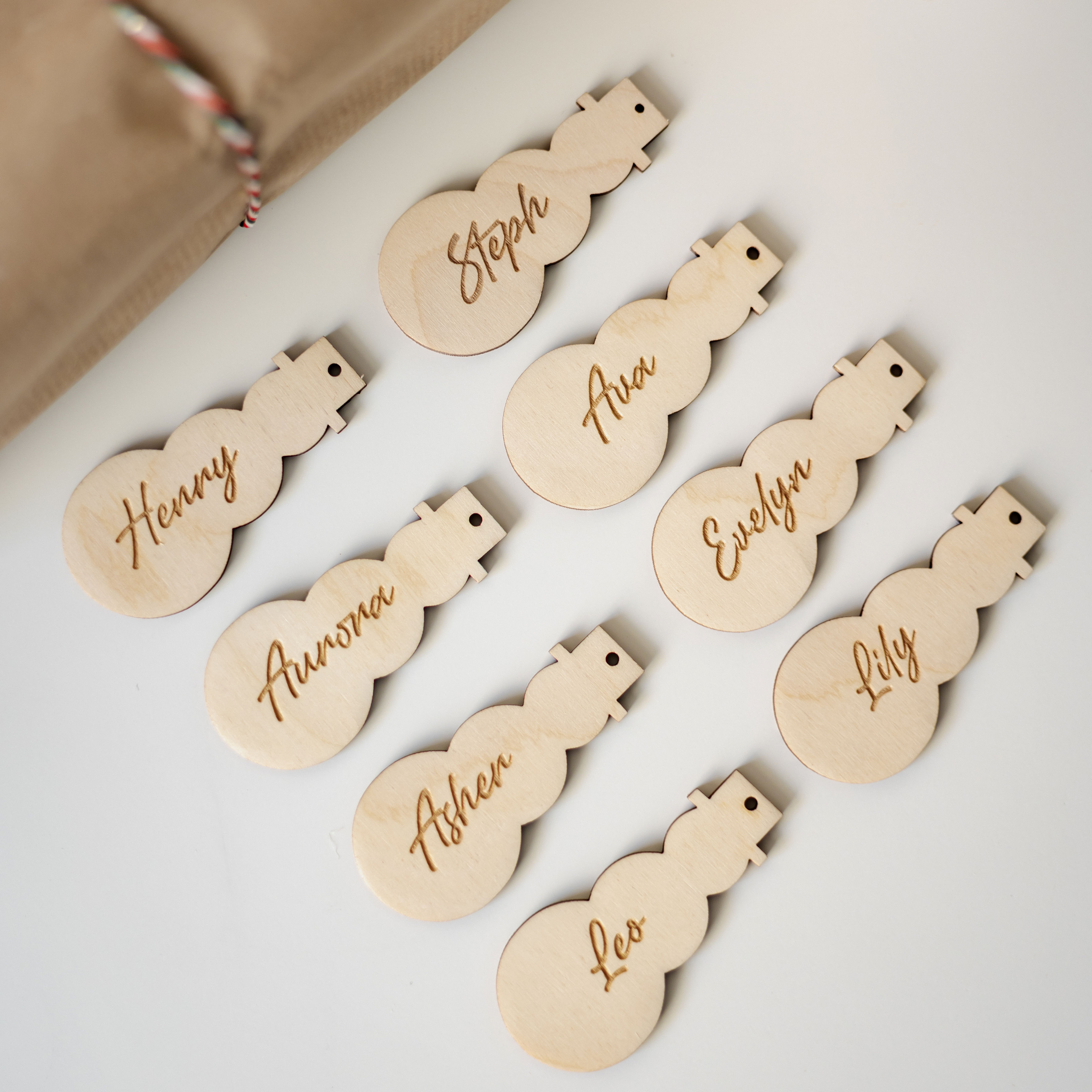 Vardo kortelė Besmegenis