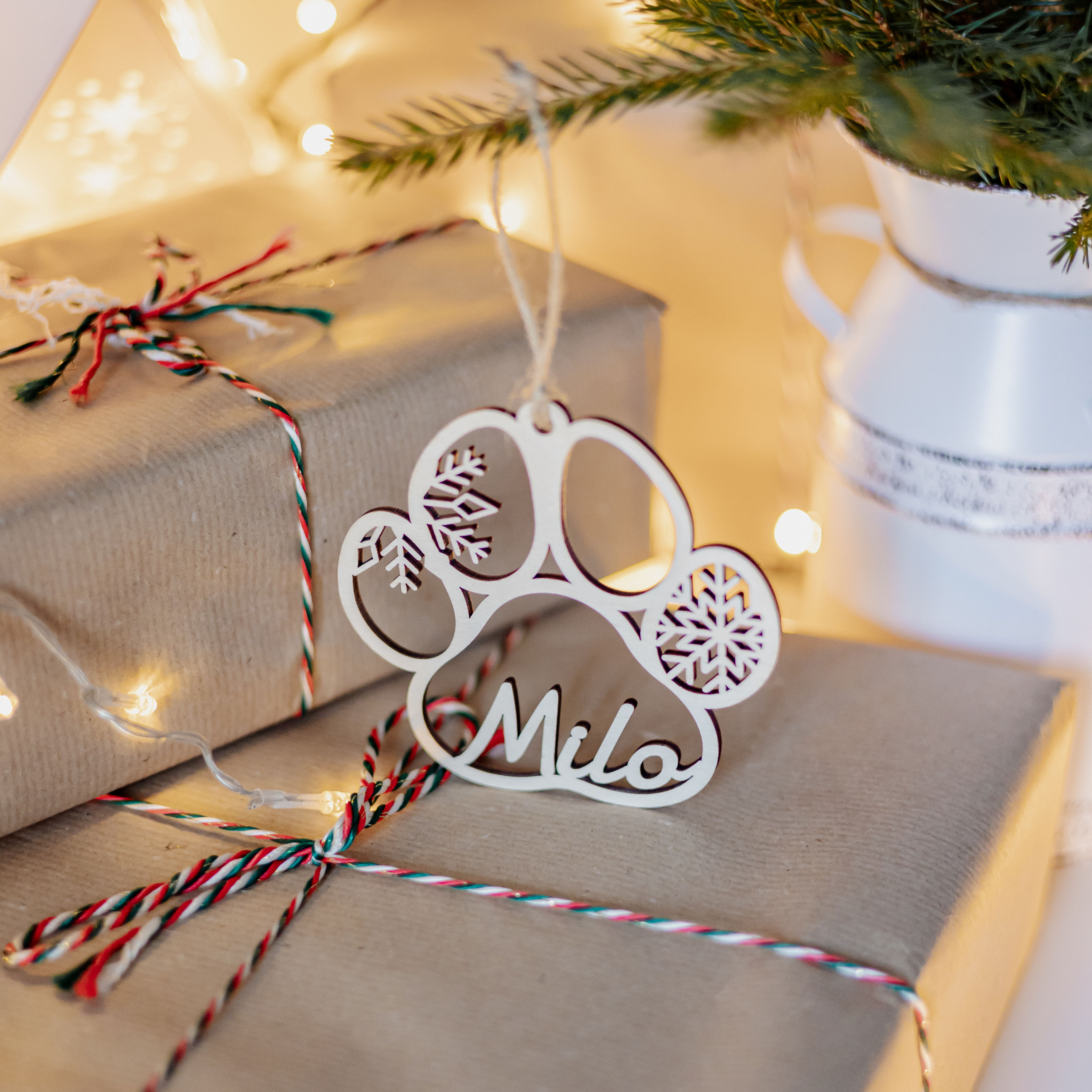 Šuns arba Katės Letenėlės 