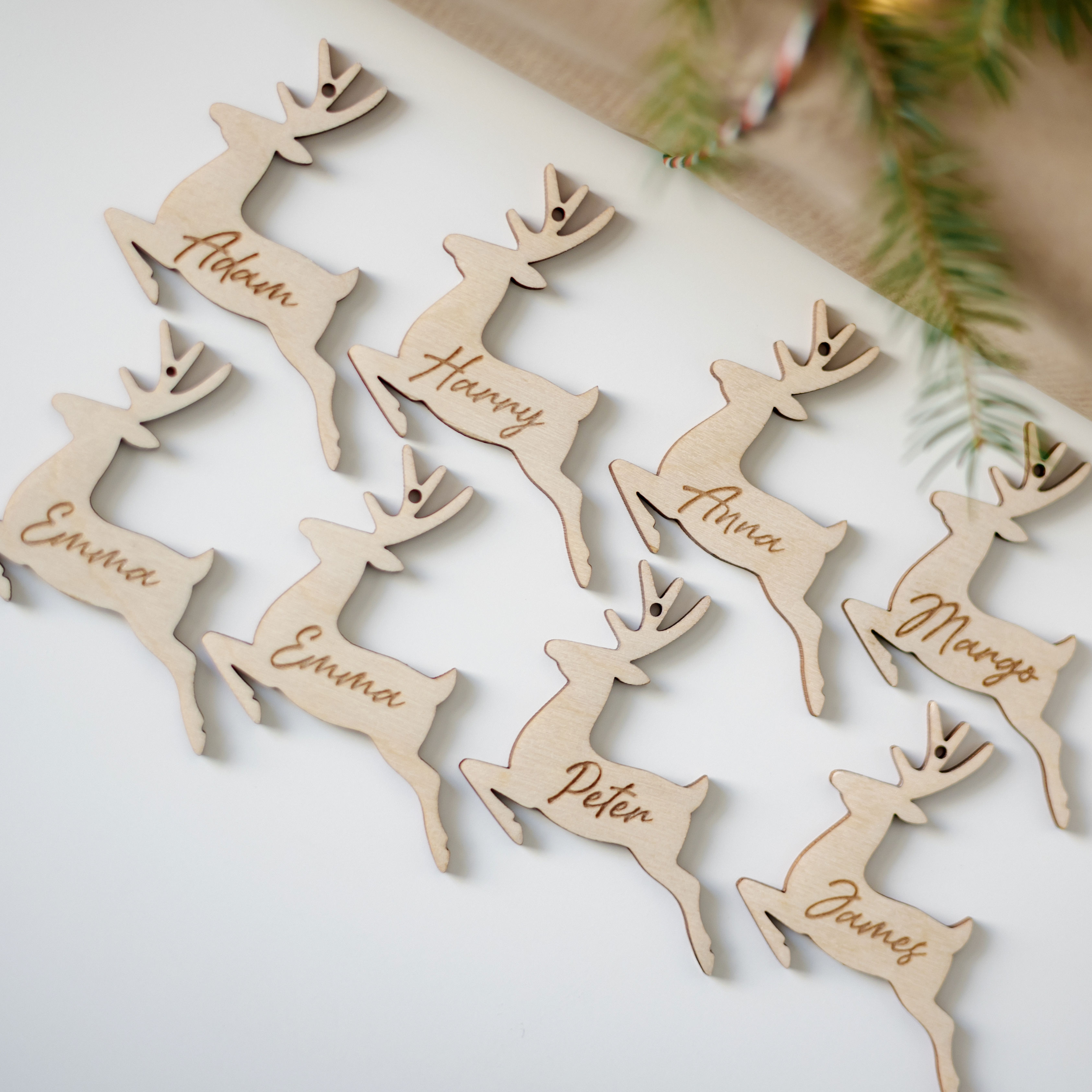 Vardo kortelė Elnias