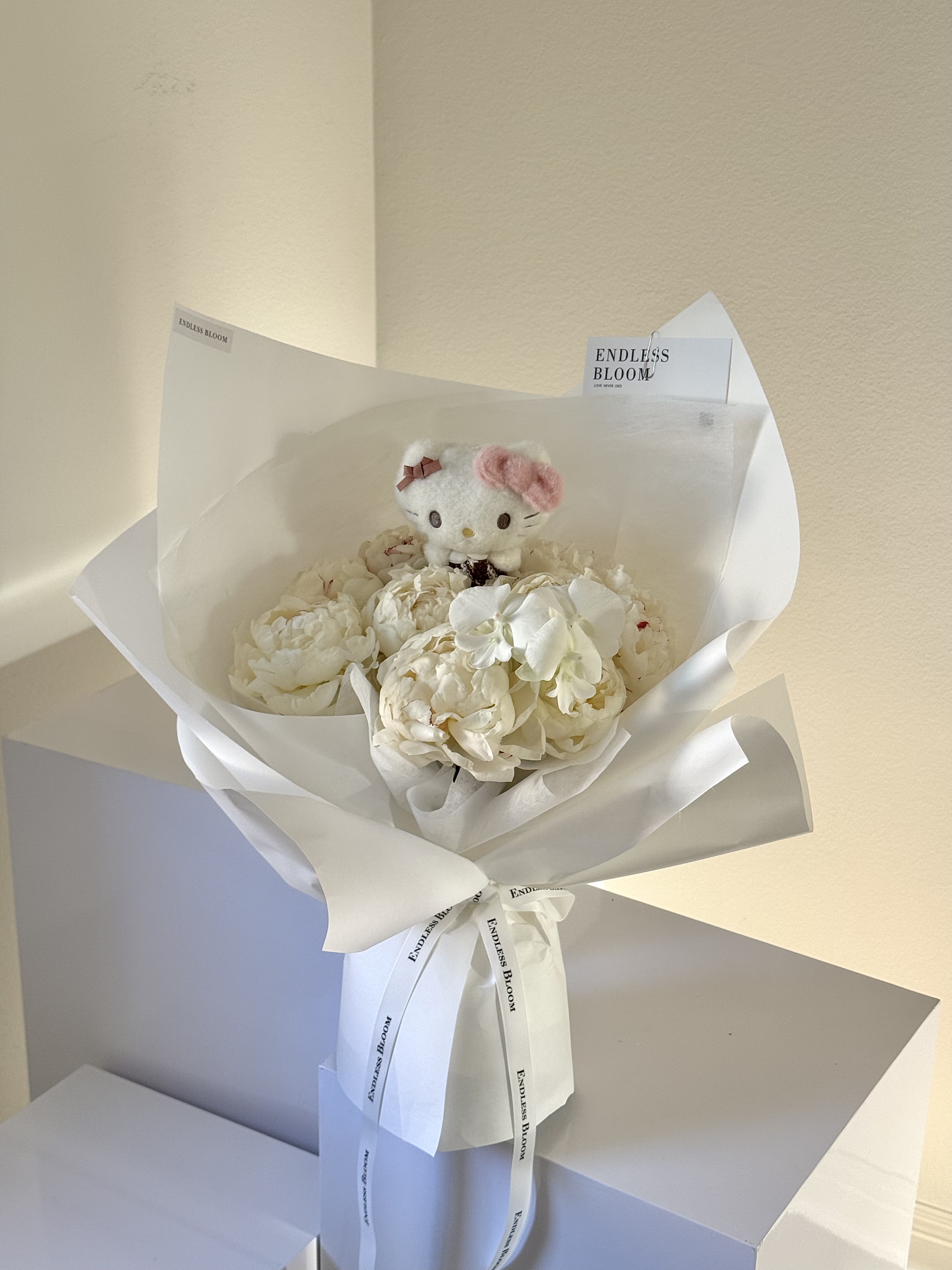 10 White Peonies Bouquet with Hello Kitty Plush 10枝芍药花束（含KT）