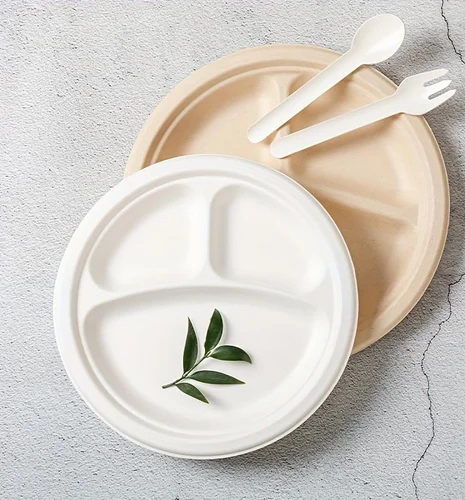 Biodegradable Plate 10" 3cp