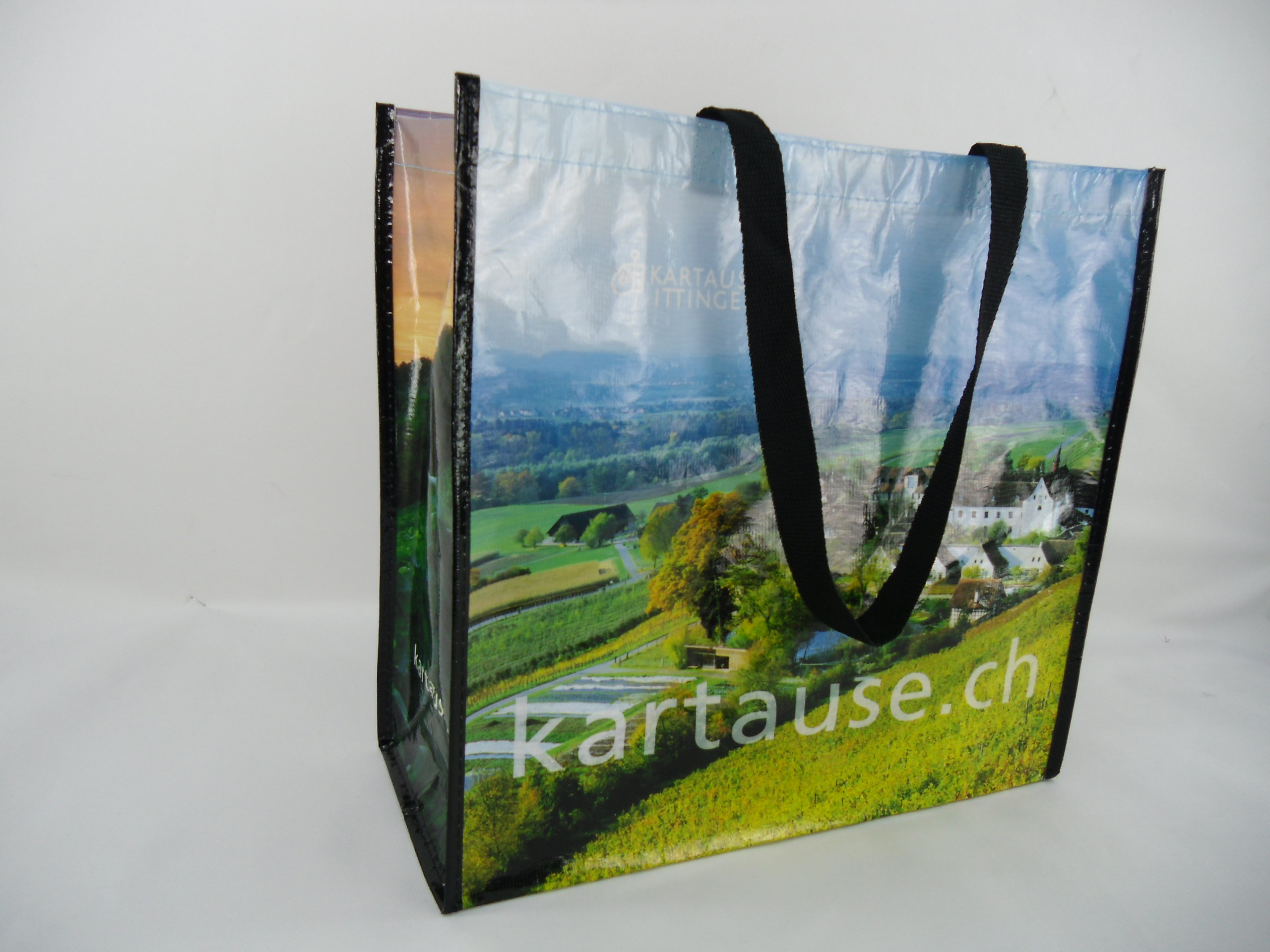 Reusable Shopping Bag