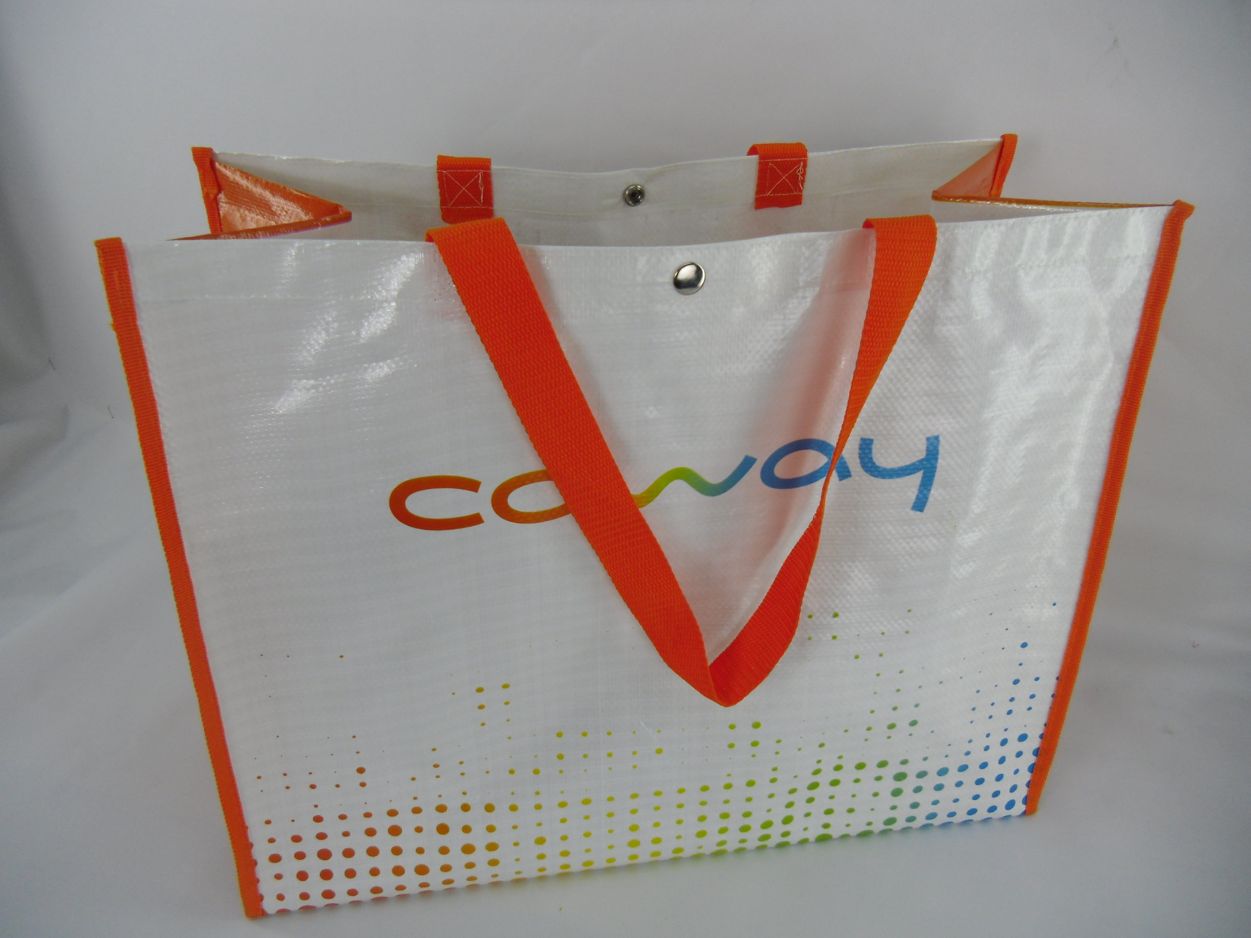 Reusable Shopping Bag