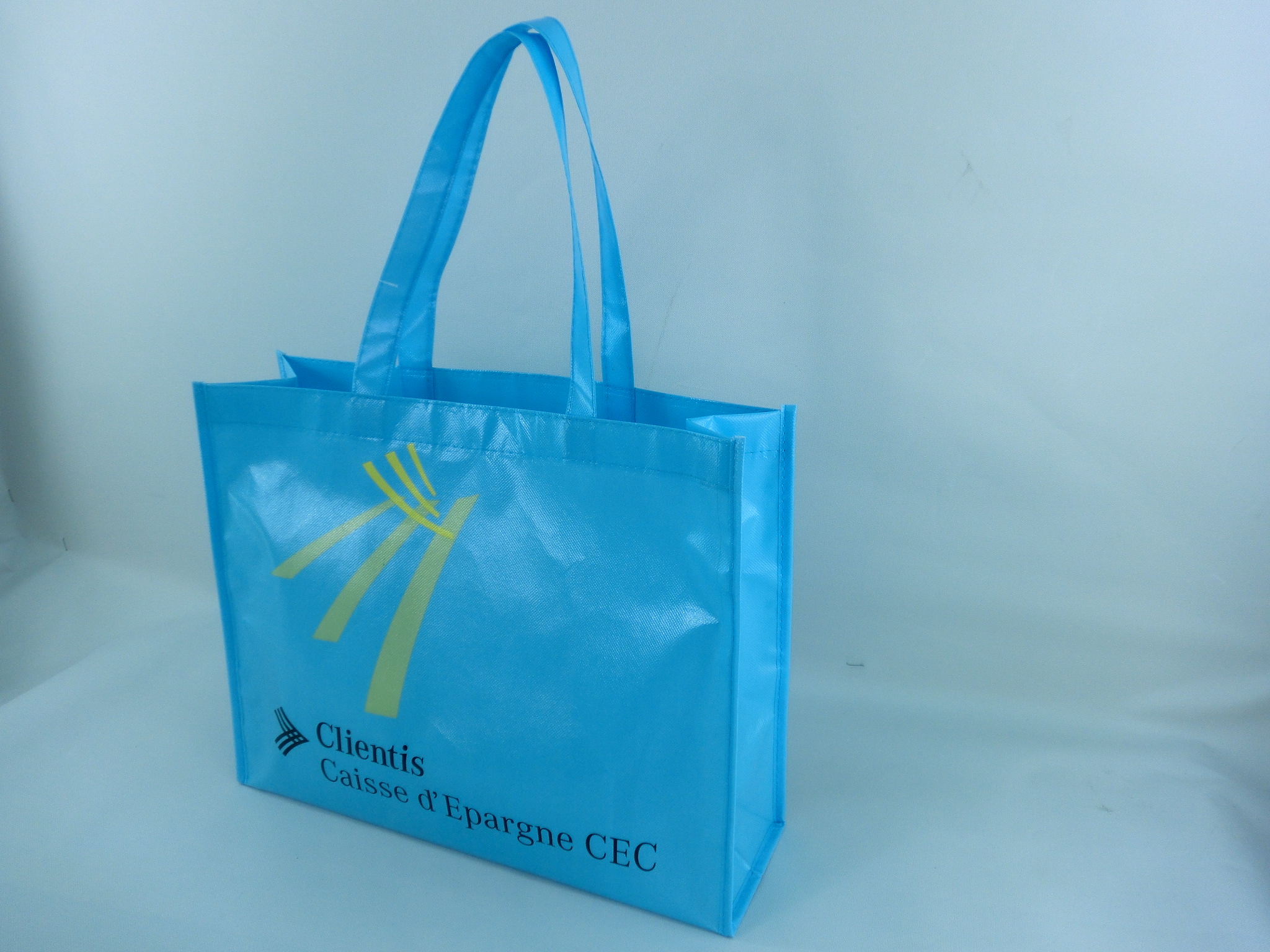 Reusable Shopping Bag