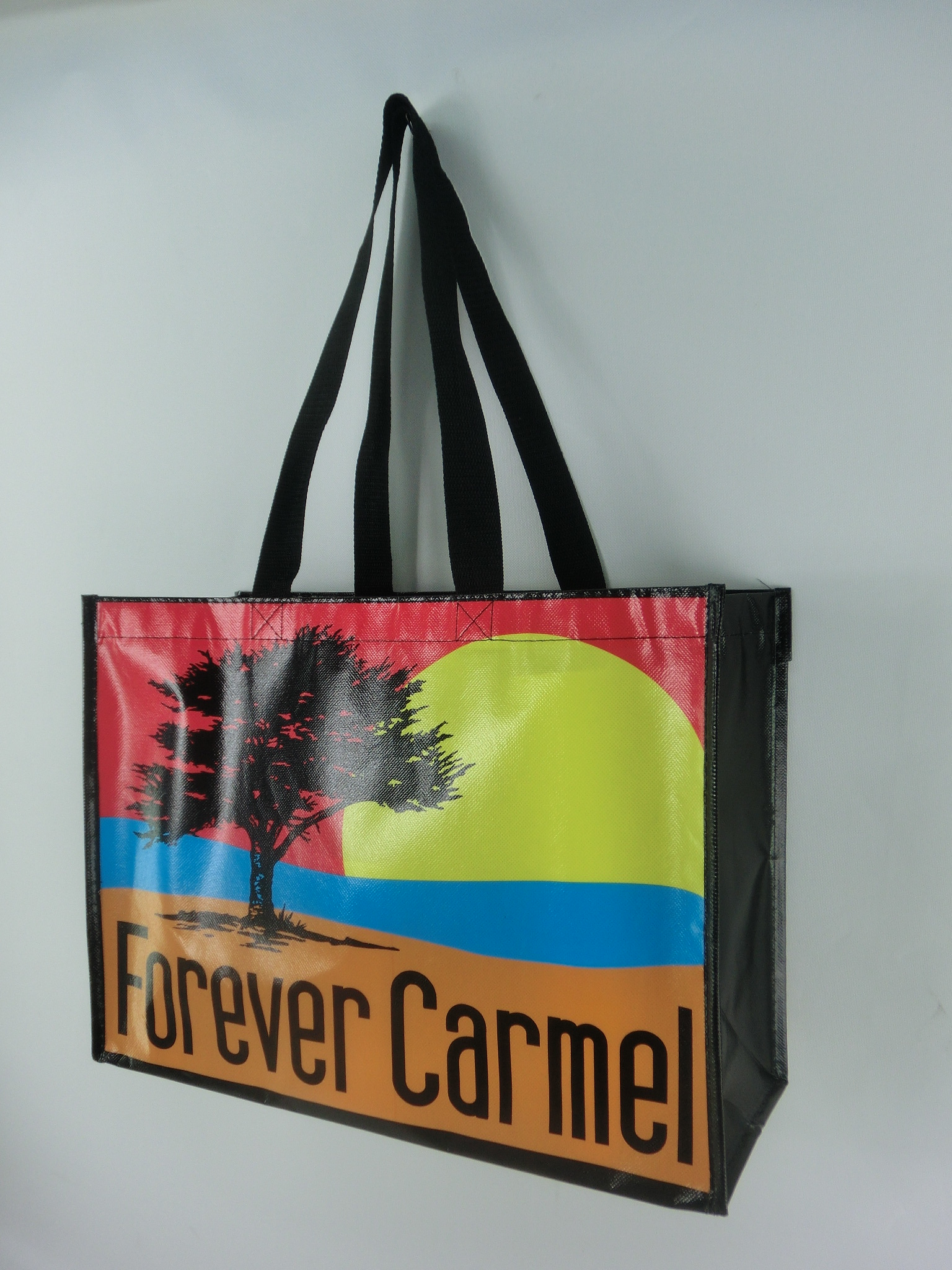 Reusable Shopping Bag
