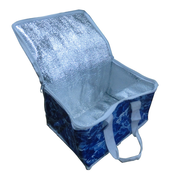 Insulated Cooler Bag