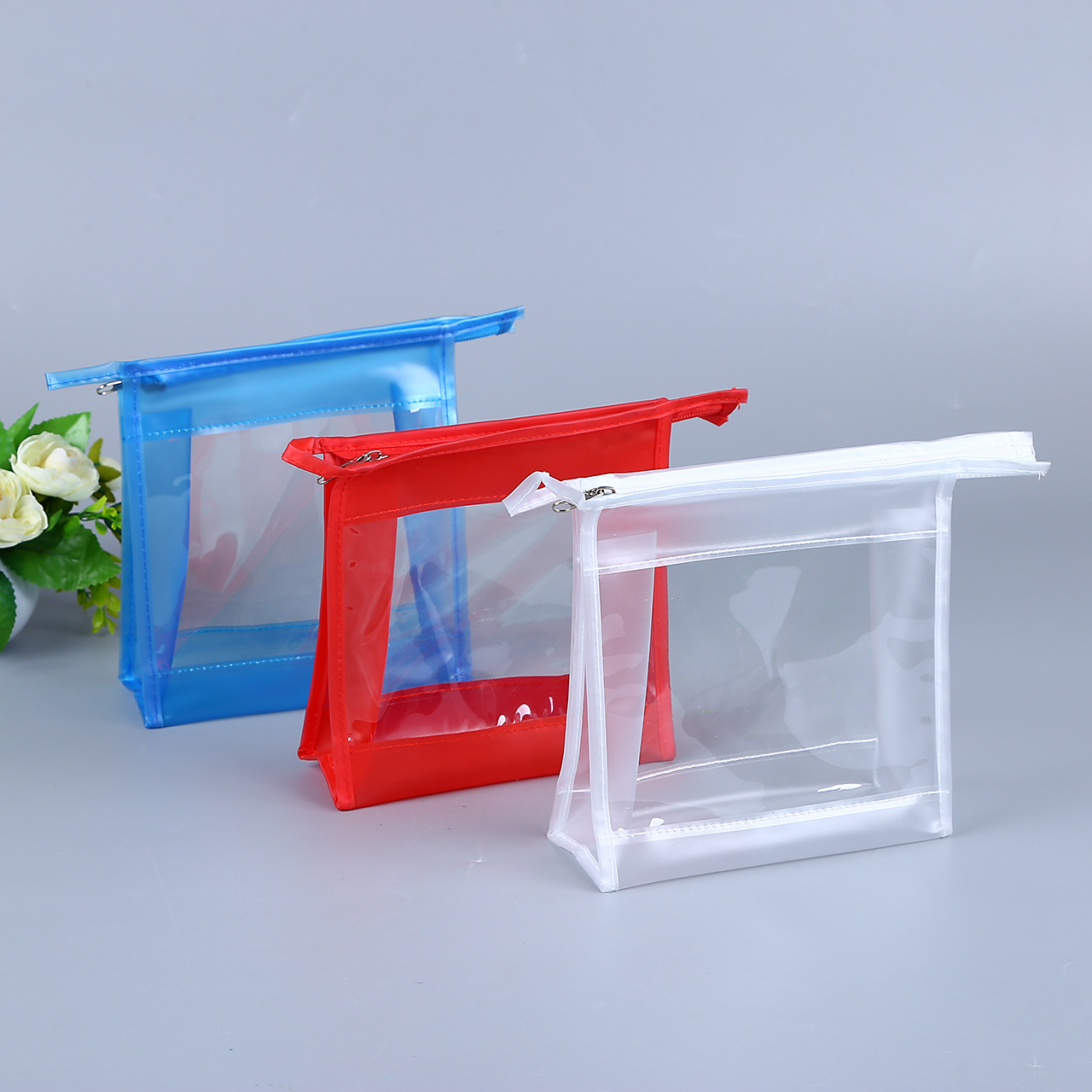Transparent Travel Pouch Set