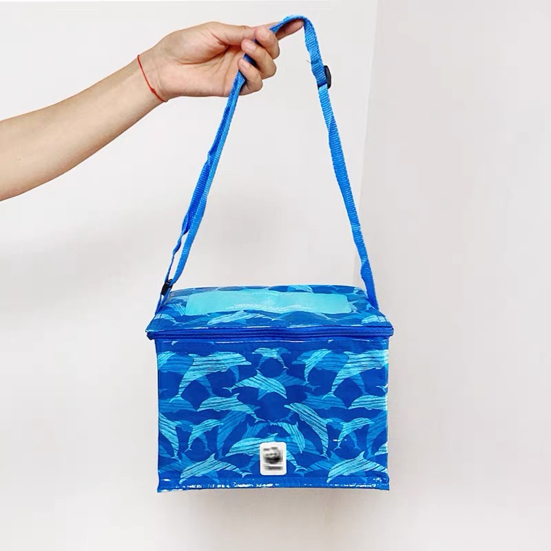 Blue Insulated Lunch Bag