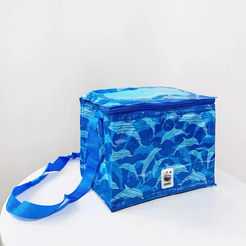 Blue Insulated Lunch Bag
