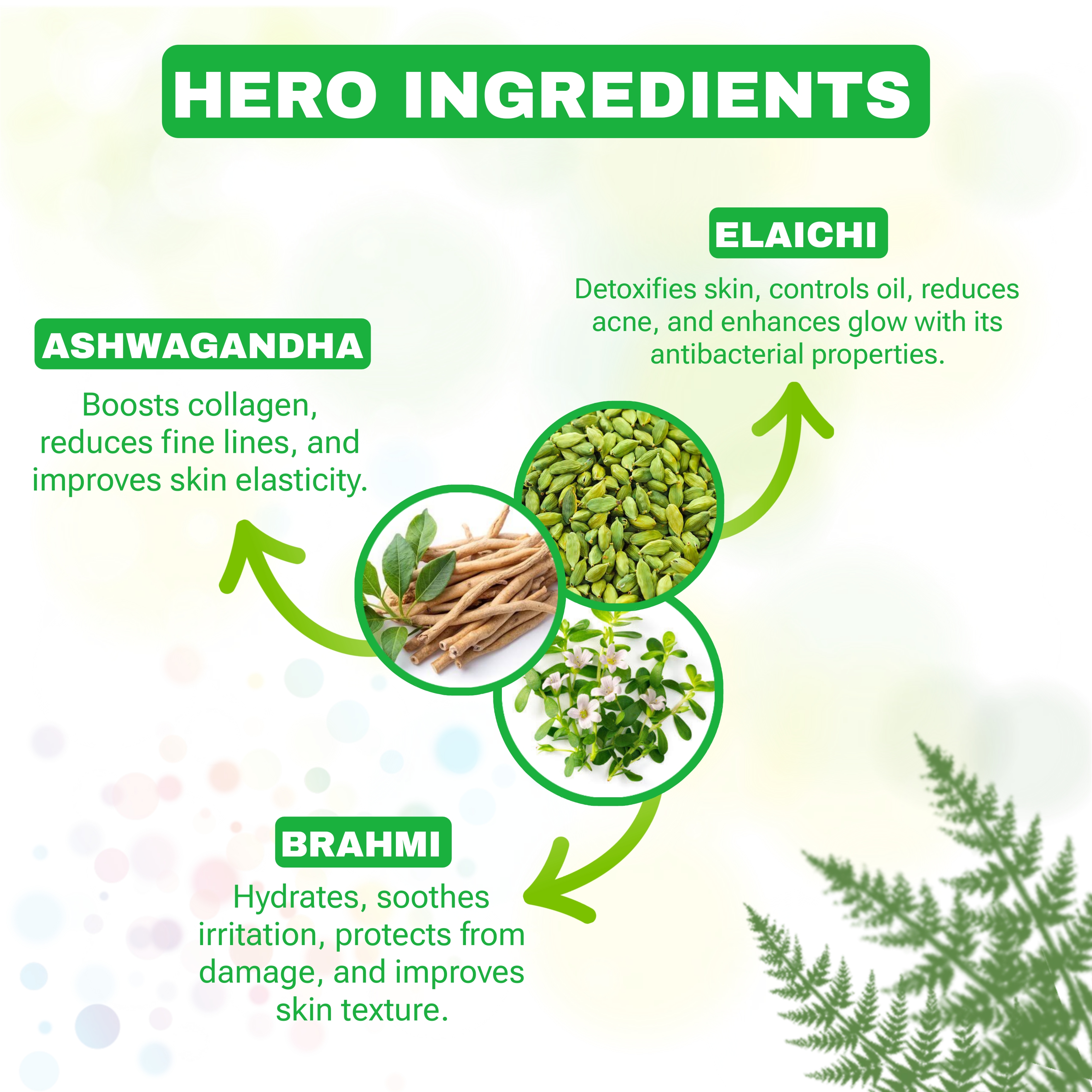 Radiance Fresh Face Wash