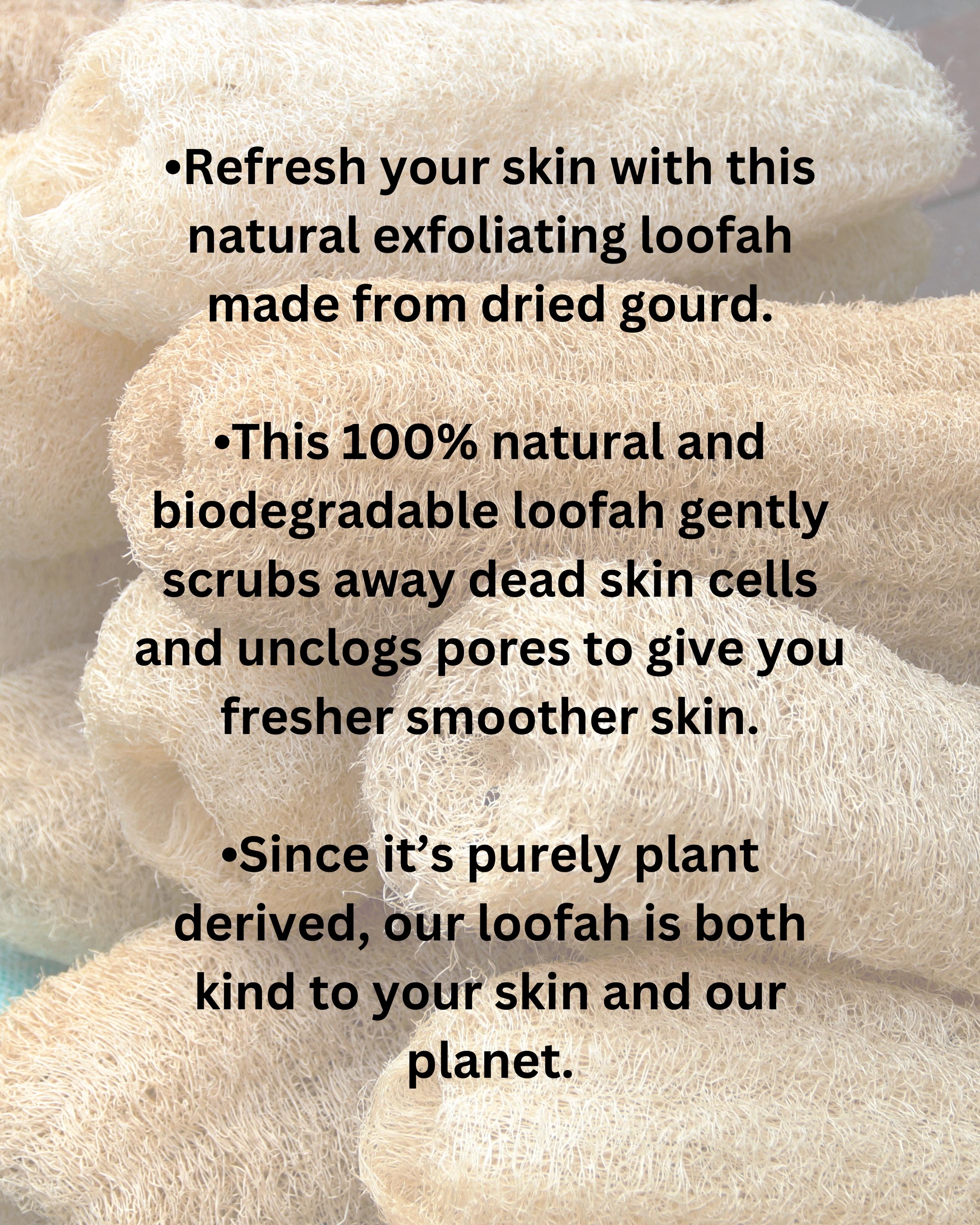 Natural Loofah Sponge