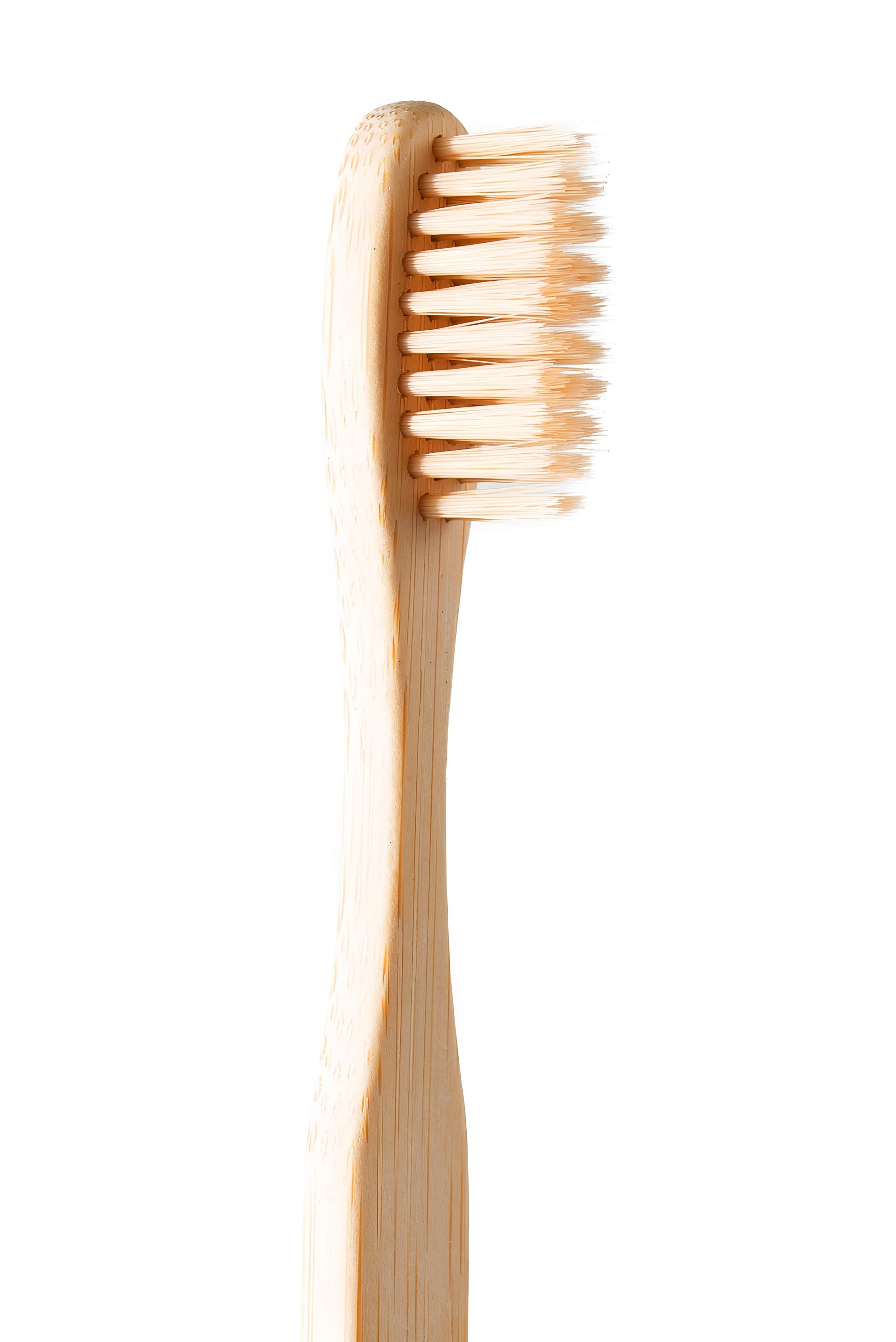 Bamboo Toothbrush