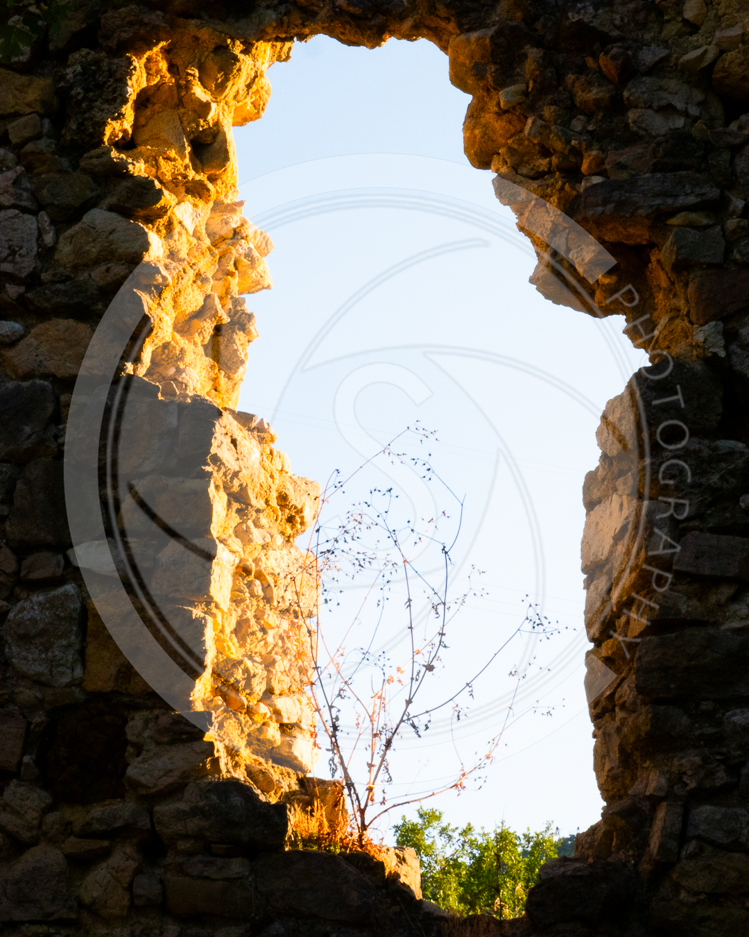 Fenêtre sur le passé