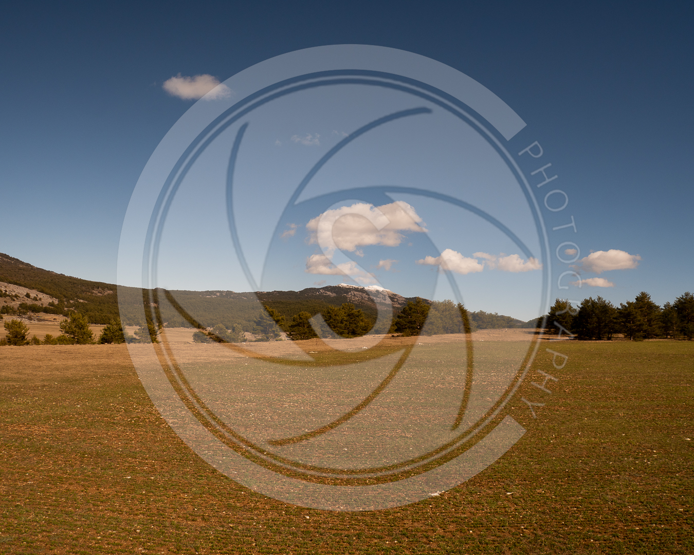 Prairie sous le ciel bleu
