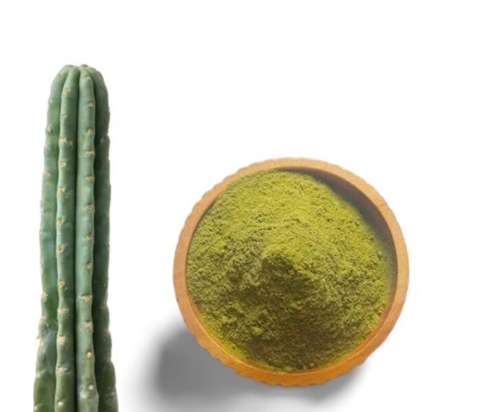 San Pedro Cactus ( Dried Powder Cactus )
