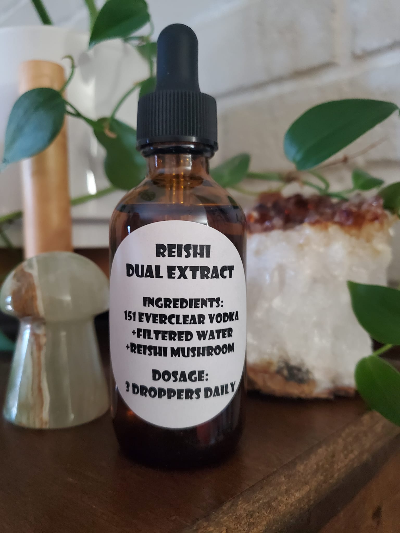 Reishi Dual Extract Tincture 2oz