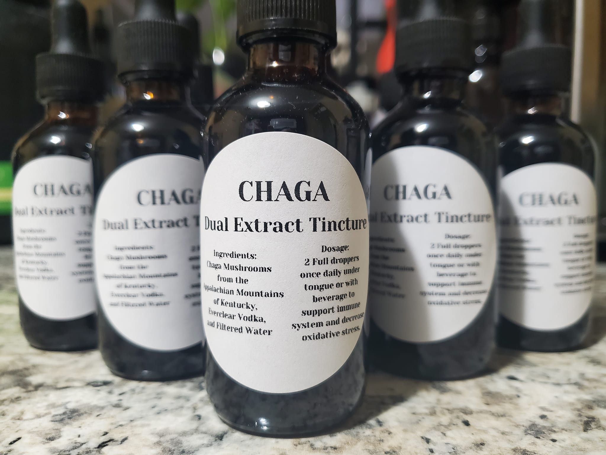 Chaga Dual Extract Tincture 2oz