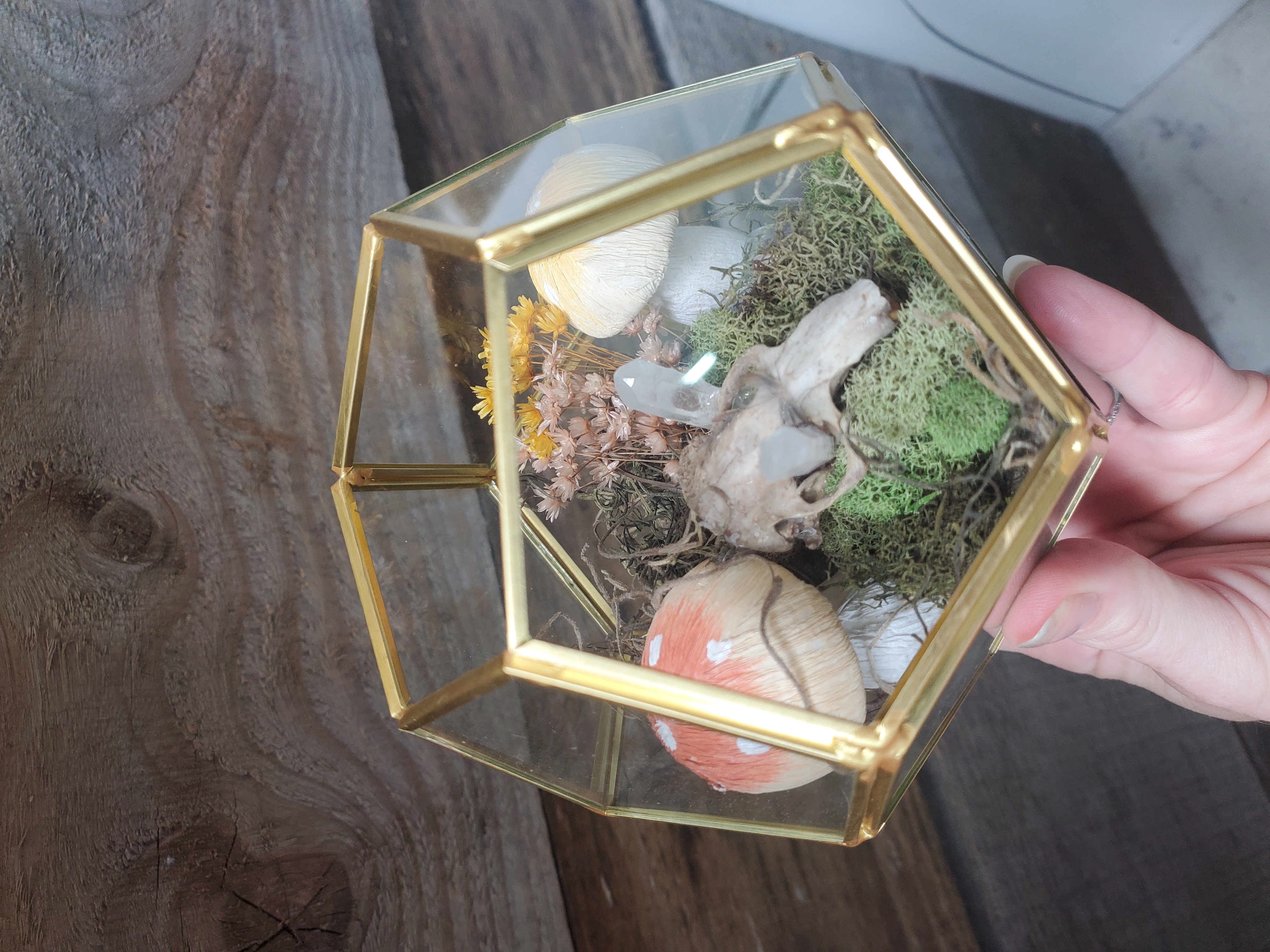 Squirrely Mushroom Madness