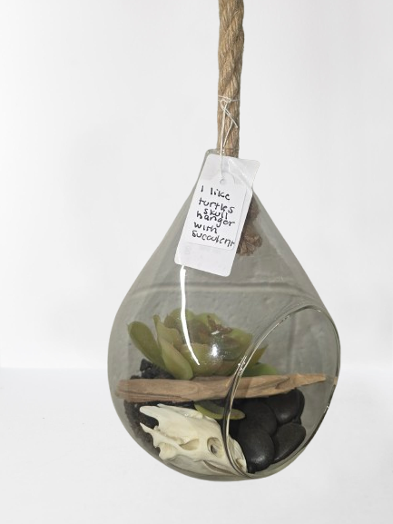 “I Like Turtles” Hanging Glass Terrarium