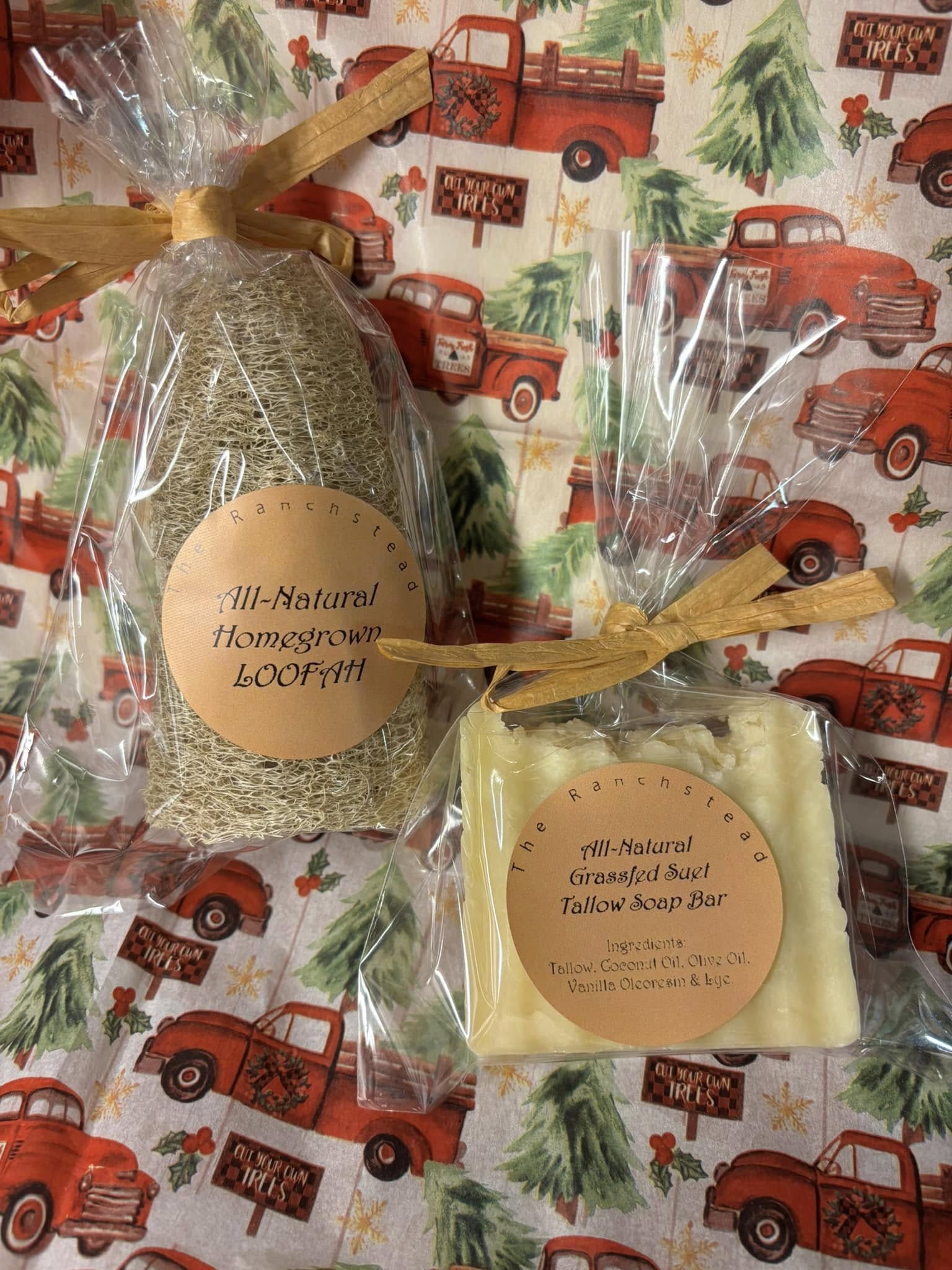 All-Natural Homegrown Loofah