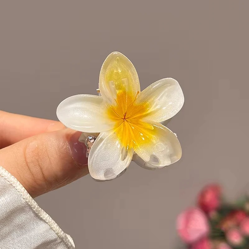 6Pcs Hawaiian Gradient Hair Clips 