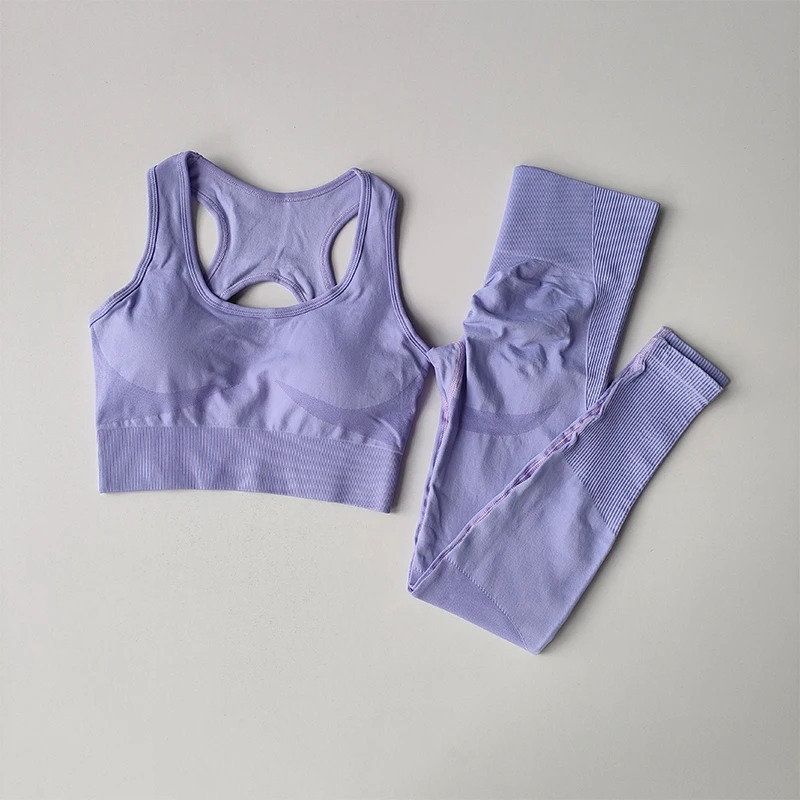 2PCS Sports Bra And Running Leggings Yoga Suit