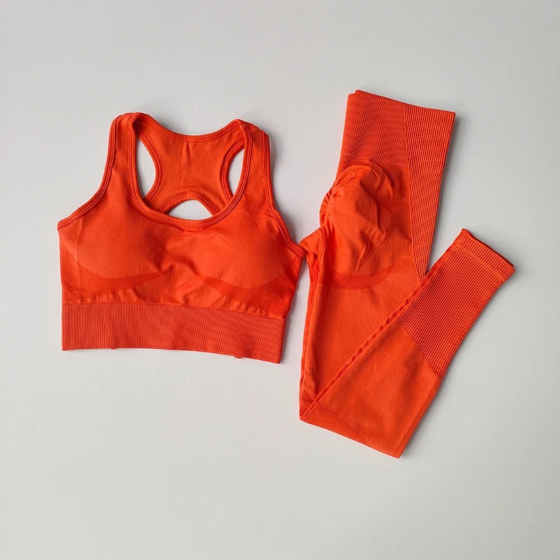 2PCS Sports Bra And Running Leggings Yoga Suit