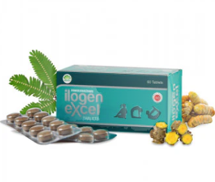 ILOGEN EXCEL TAB 60S