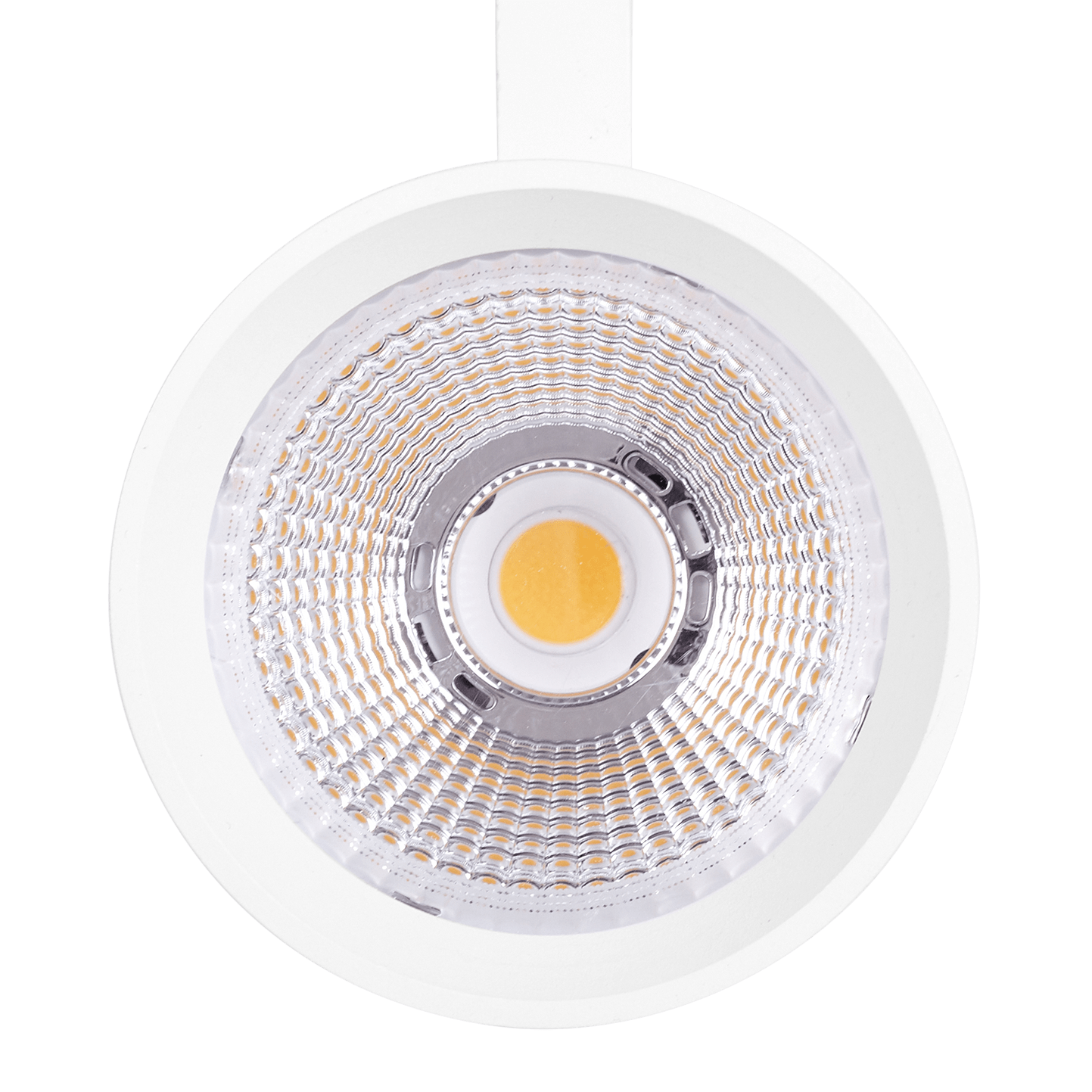     PROYECTOR  MODENA 40W BLANCO