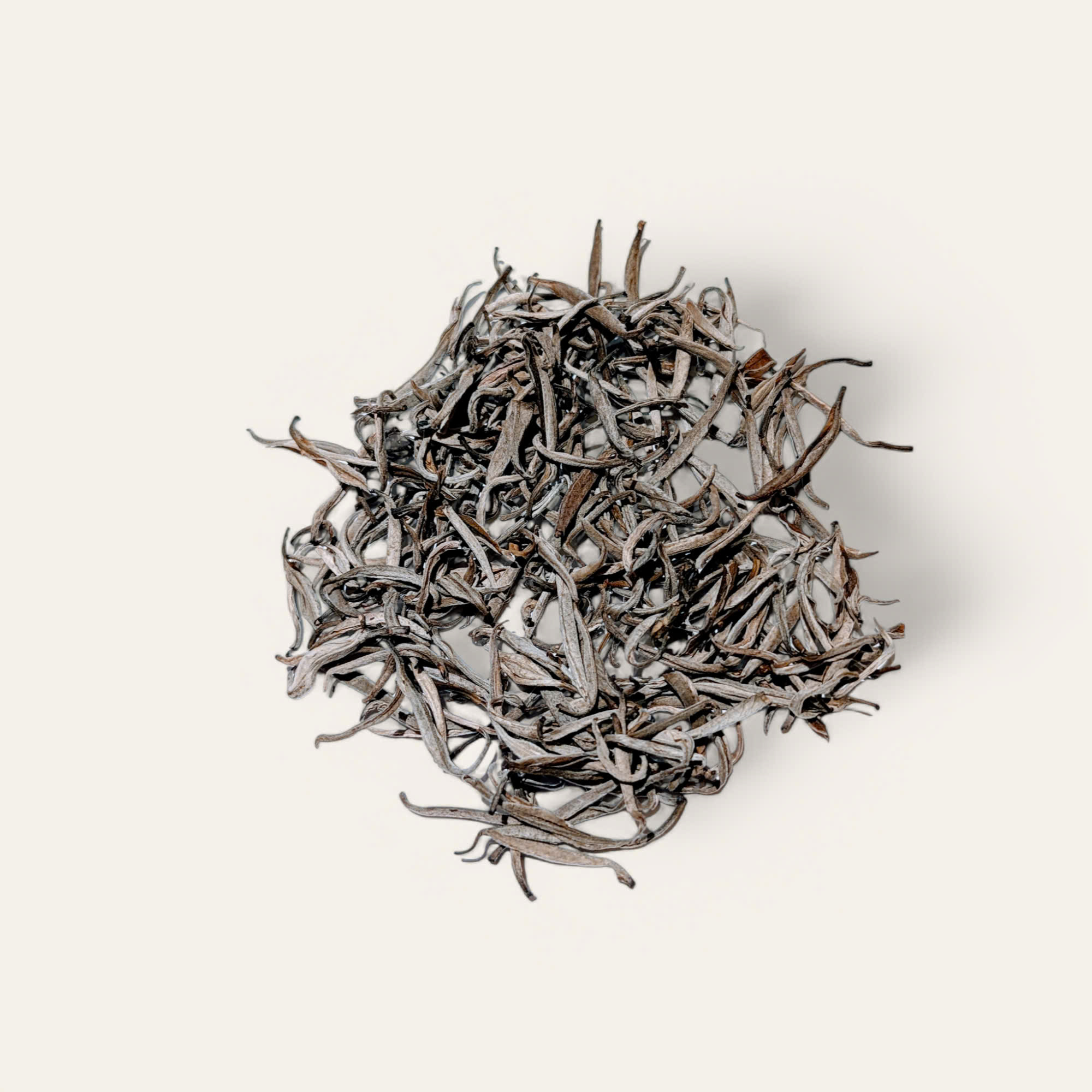 Bạch trà Cổ thụ